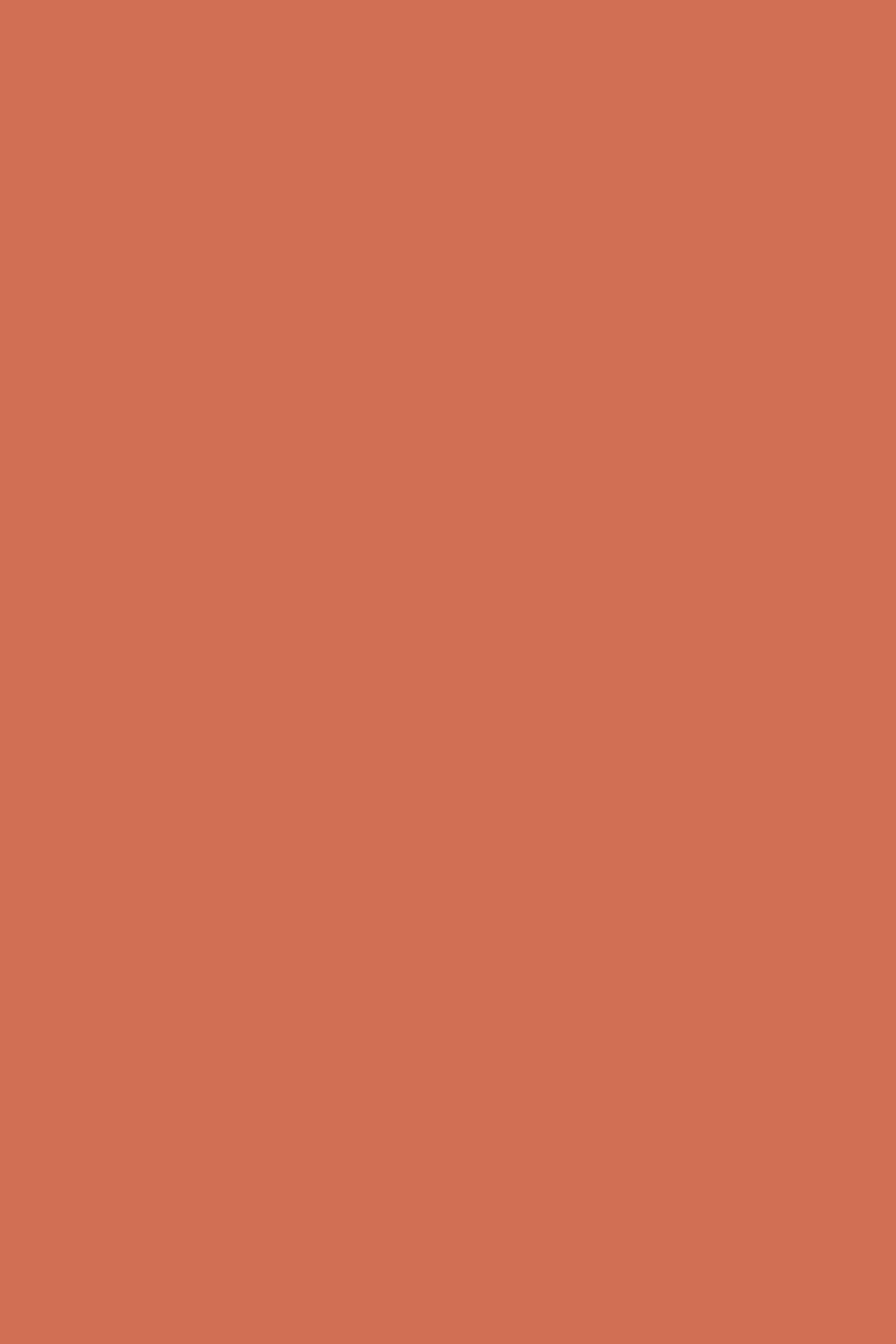 Orange Backdrop Photoshoot Warm Terracotta Dream Backdrop CSH57-312