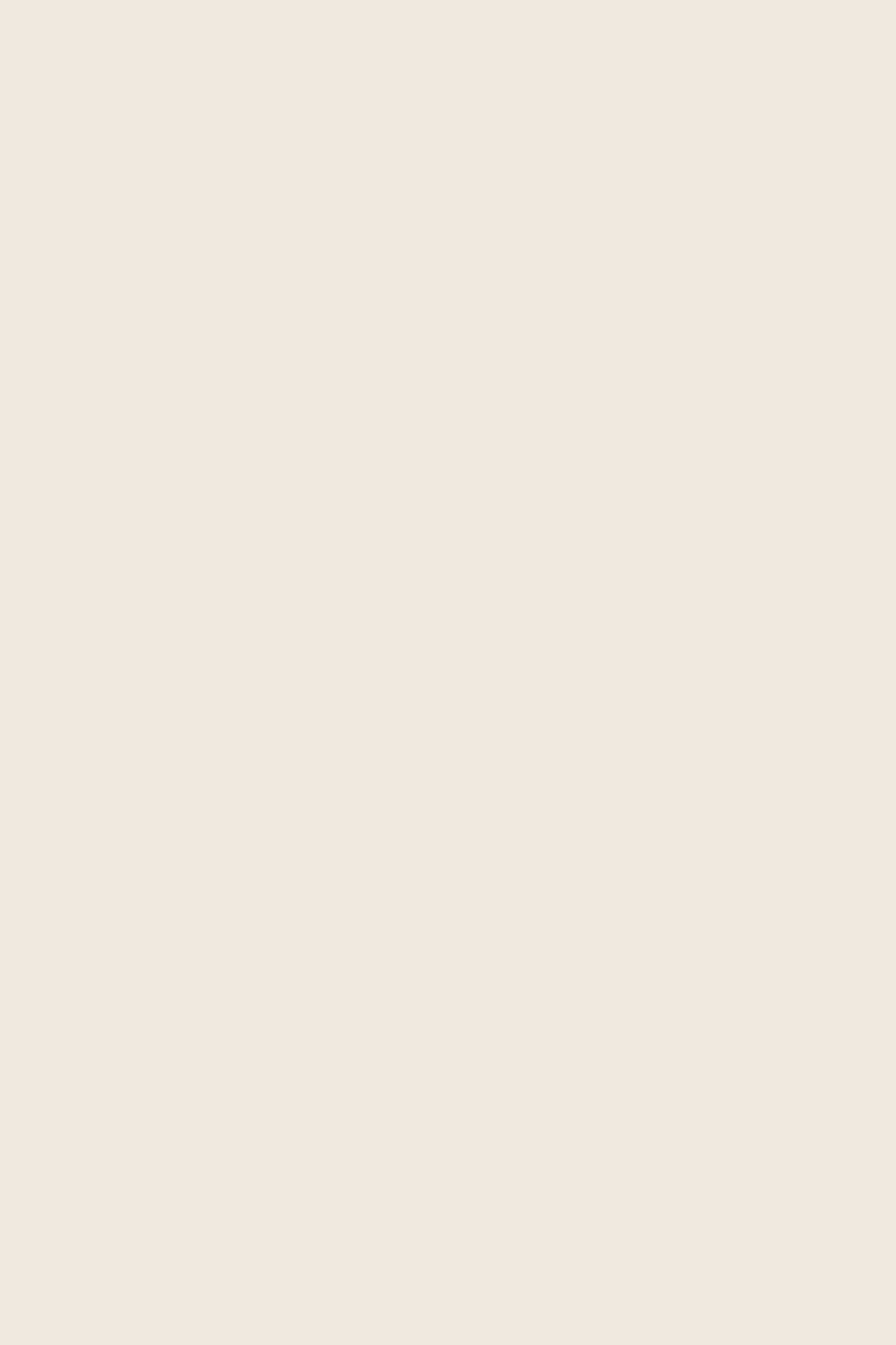 White Photo Backdrop Warm Vanilla Cream Backdrop CSH57-313