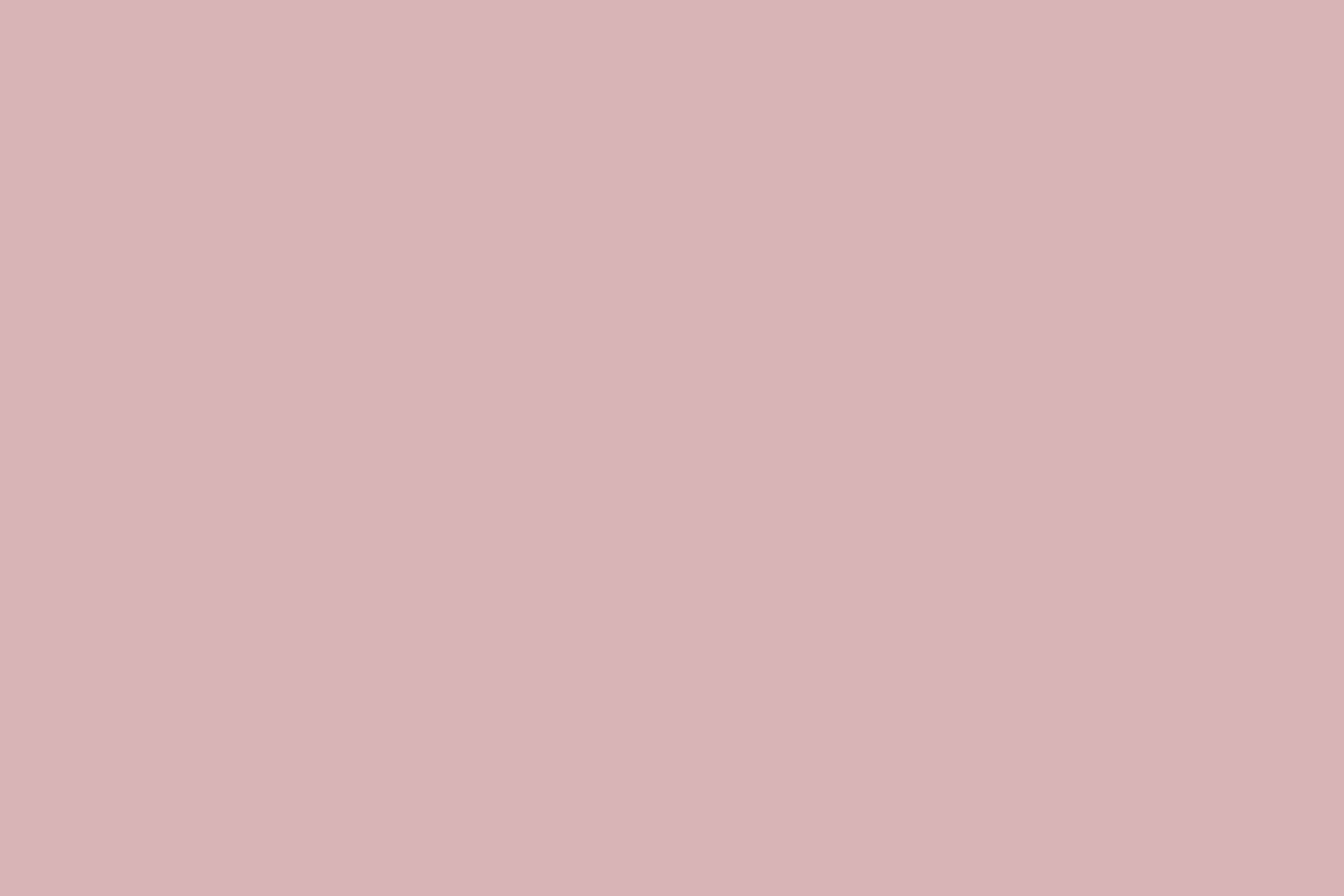 Pink Photography Backdrop Ballet Pink Whisper Backdrop CSH57-314