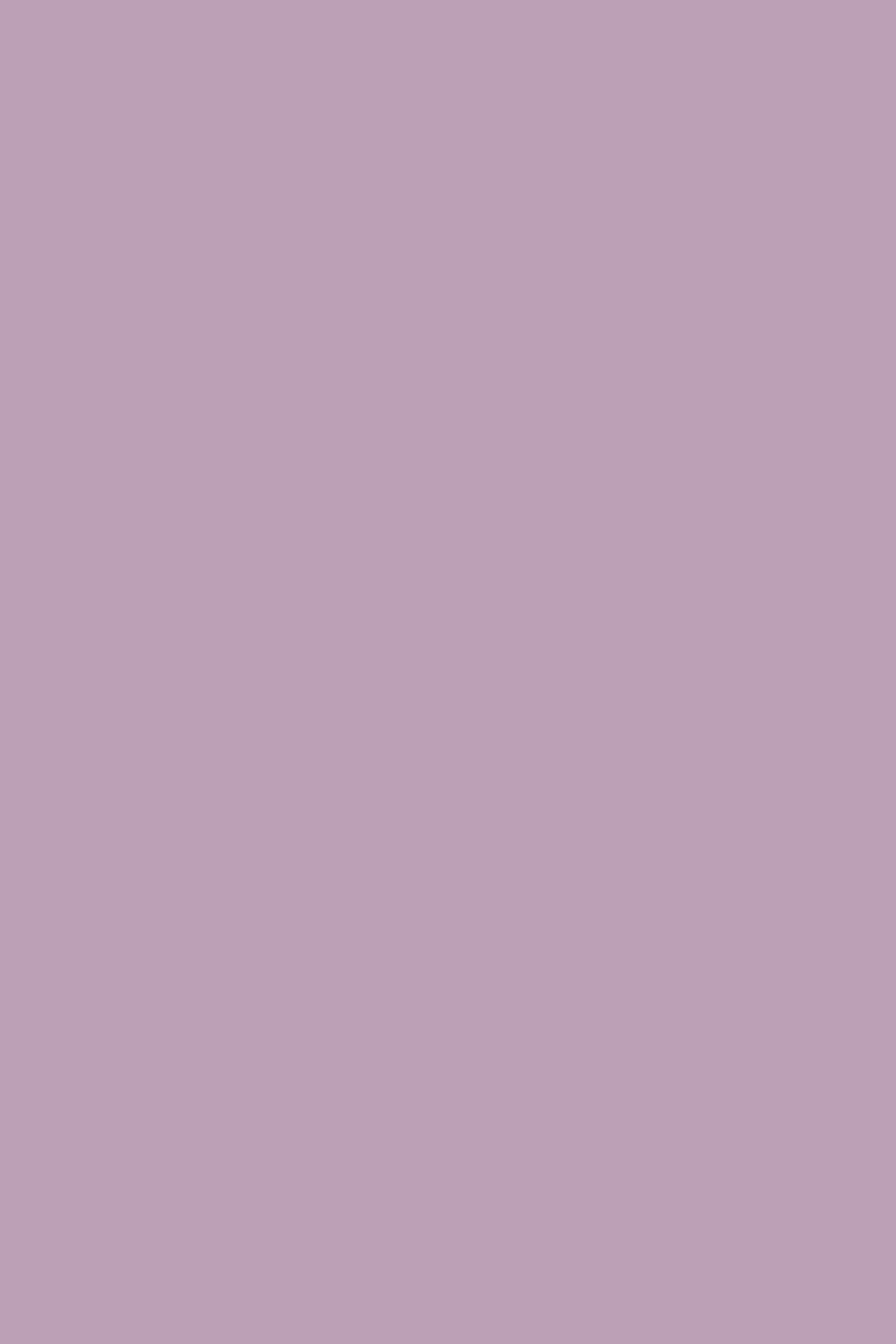 Light Purple Backdrop Dreamy Violet Gentle Backdrop CSH57-318