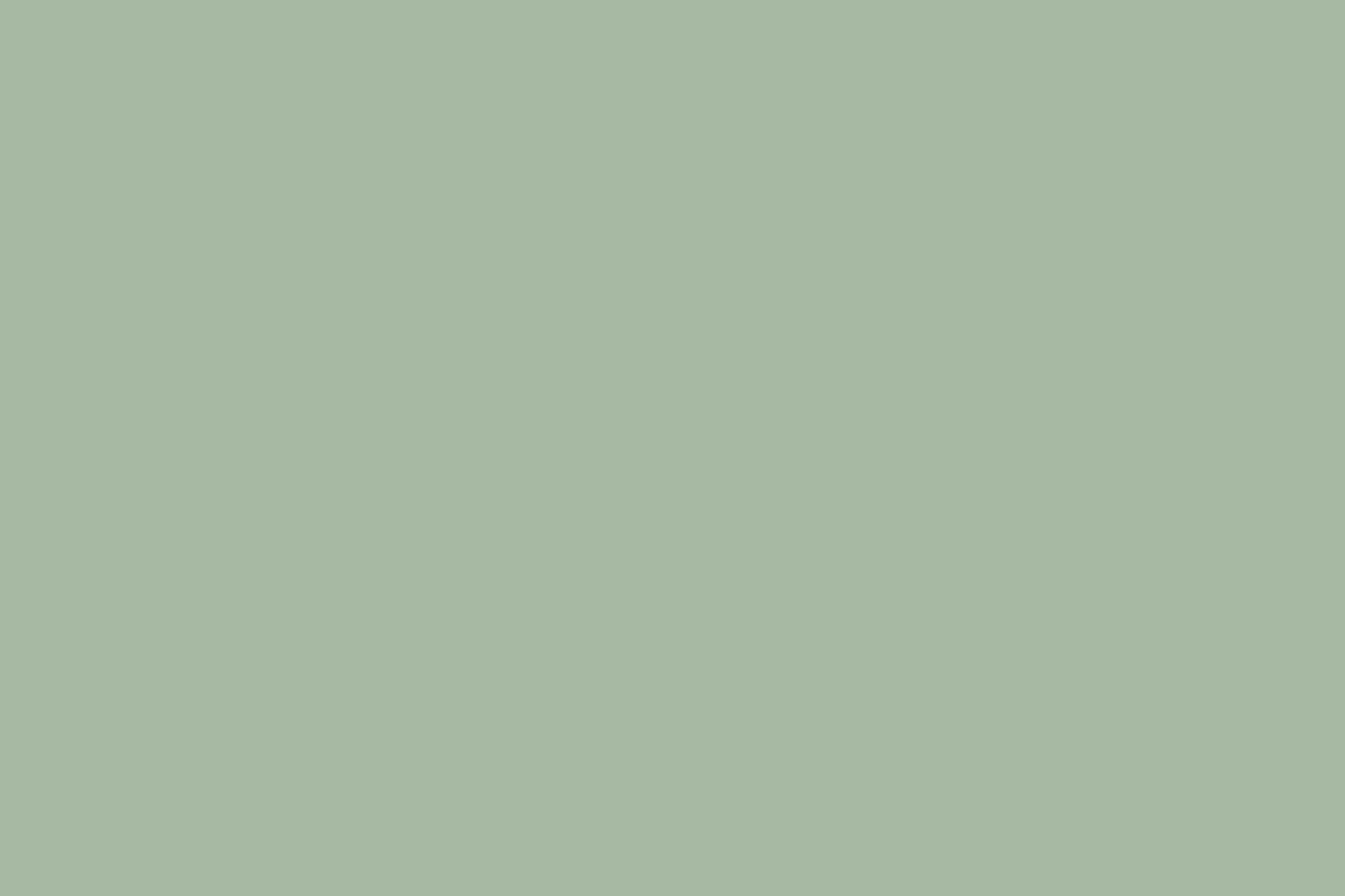 Light Green Backdrop Fresh Sage Haze Backdrop CSH57-325