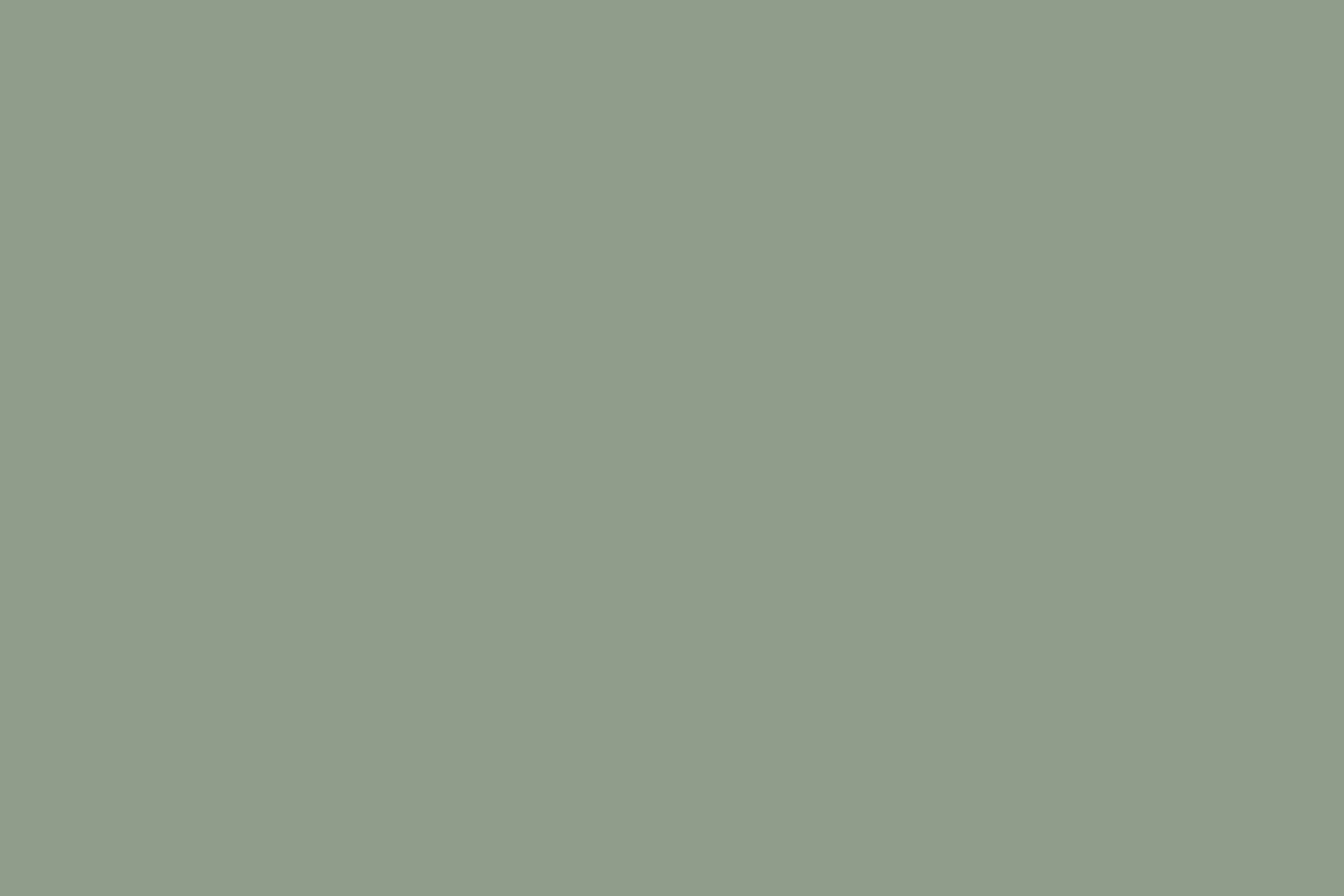 Green Photo Backdrop Dusty Olive Haze Backdrop CSH57-326