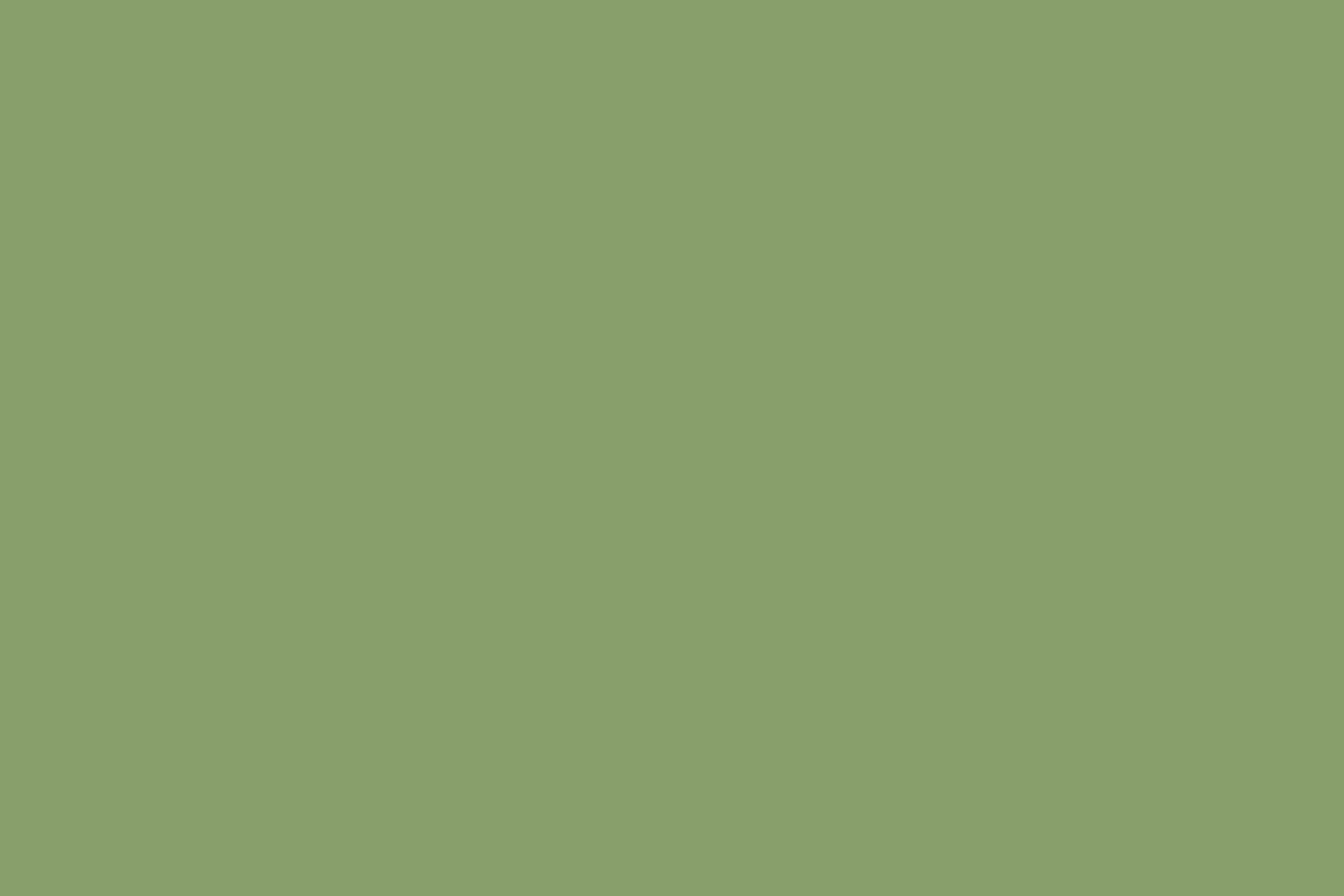 Green Photography Backdrop Bright Meadow Tint Backdrop CSH57-327