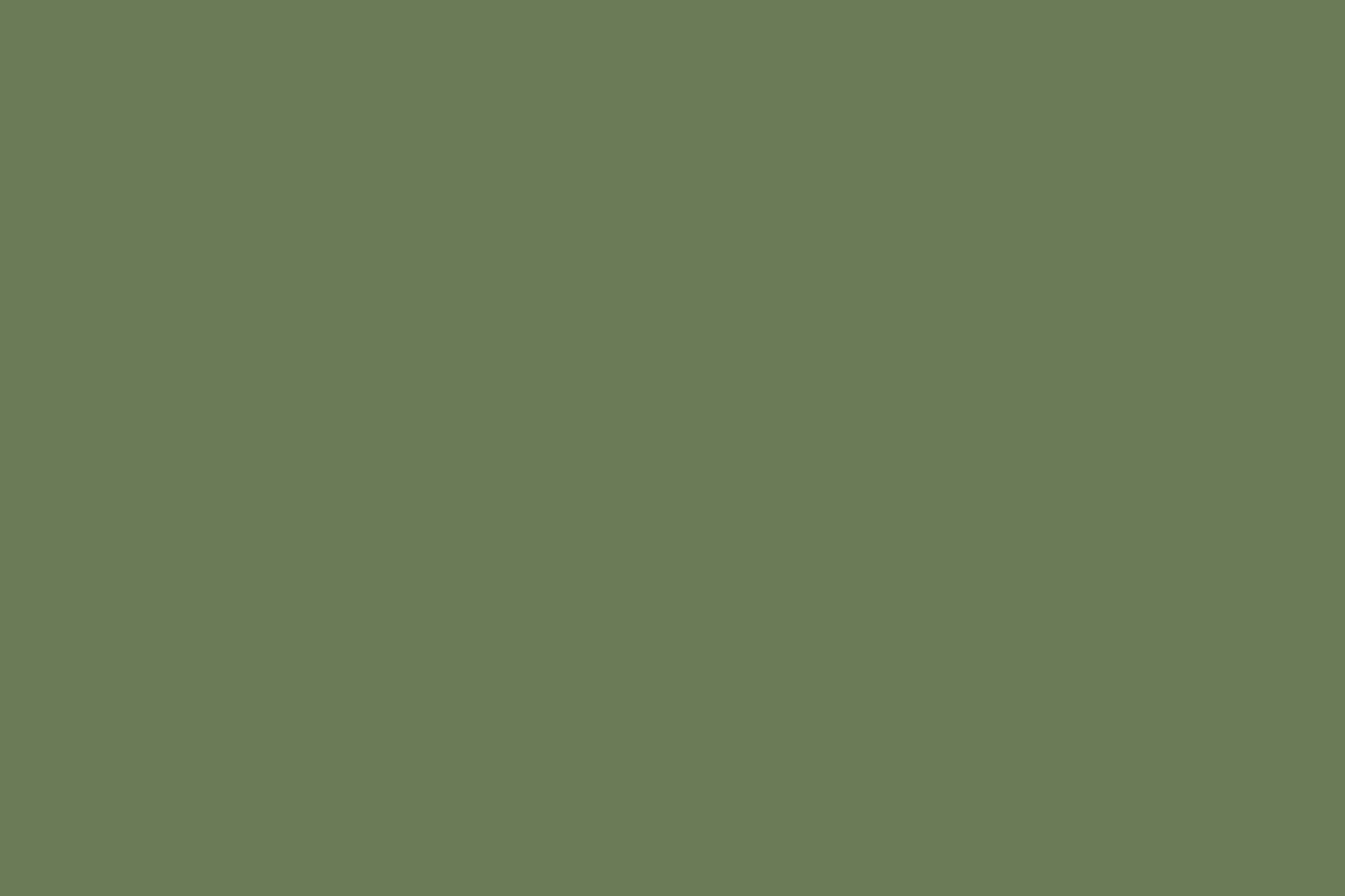 Green Photo Backdrop Dark Emerald Haze Backdrop CSH57-328