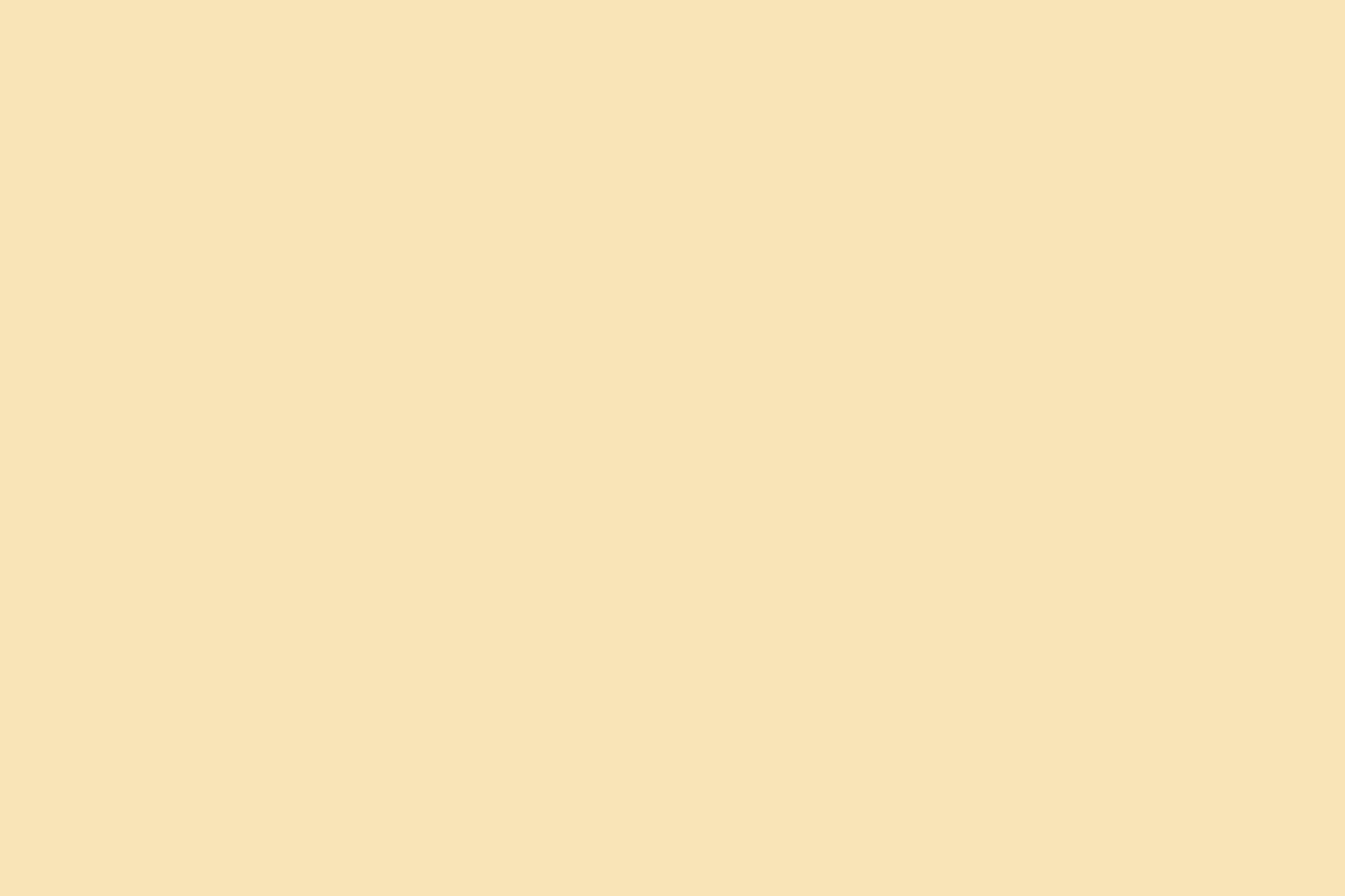 Solid Color Backdrop Warm Ivory Cream Backdrop CSH57-329