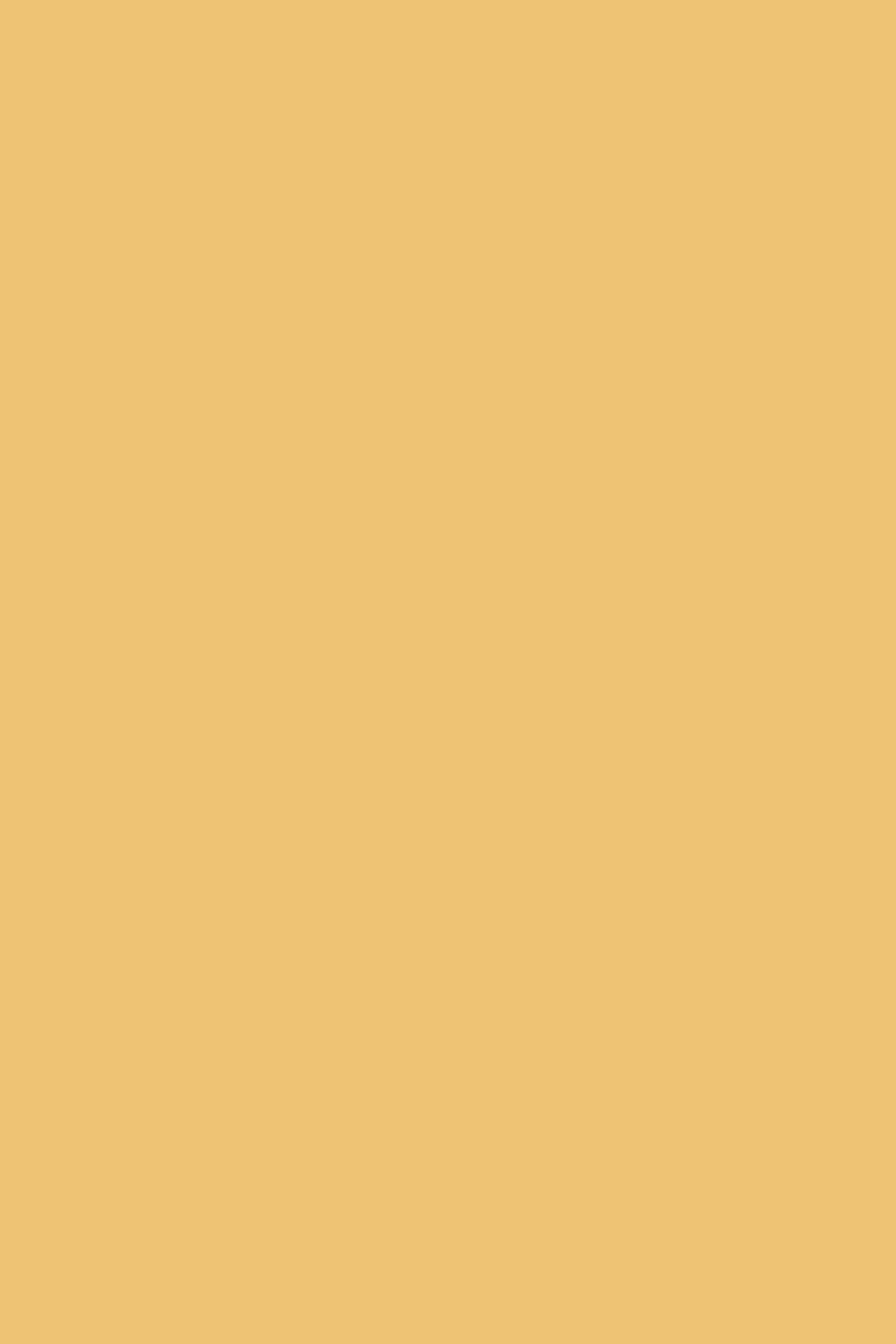 Backdrop Solid Color Sunlit Honey Veil Backdrop CSH57-330