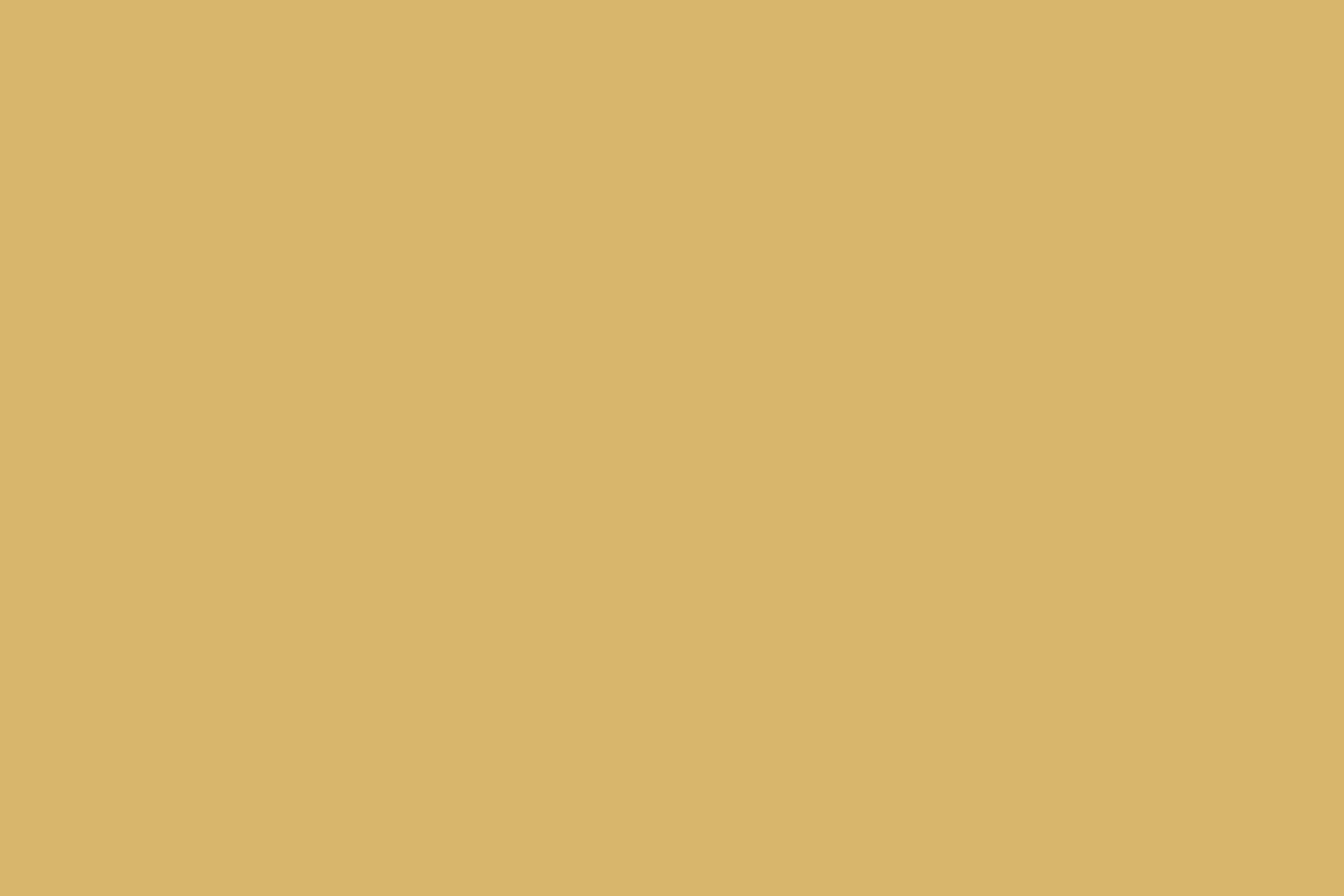 Solid Color Backdrops Soft Honey Golden Backdrop CSH57-331