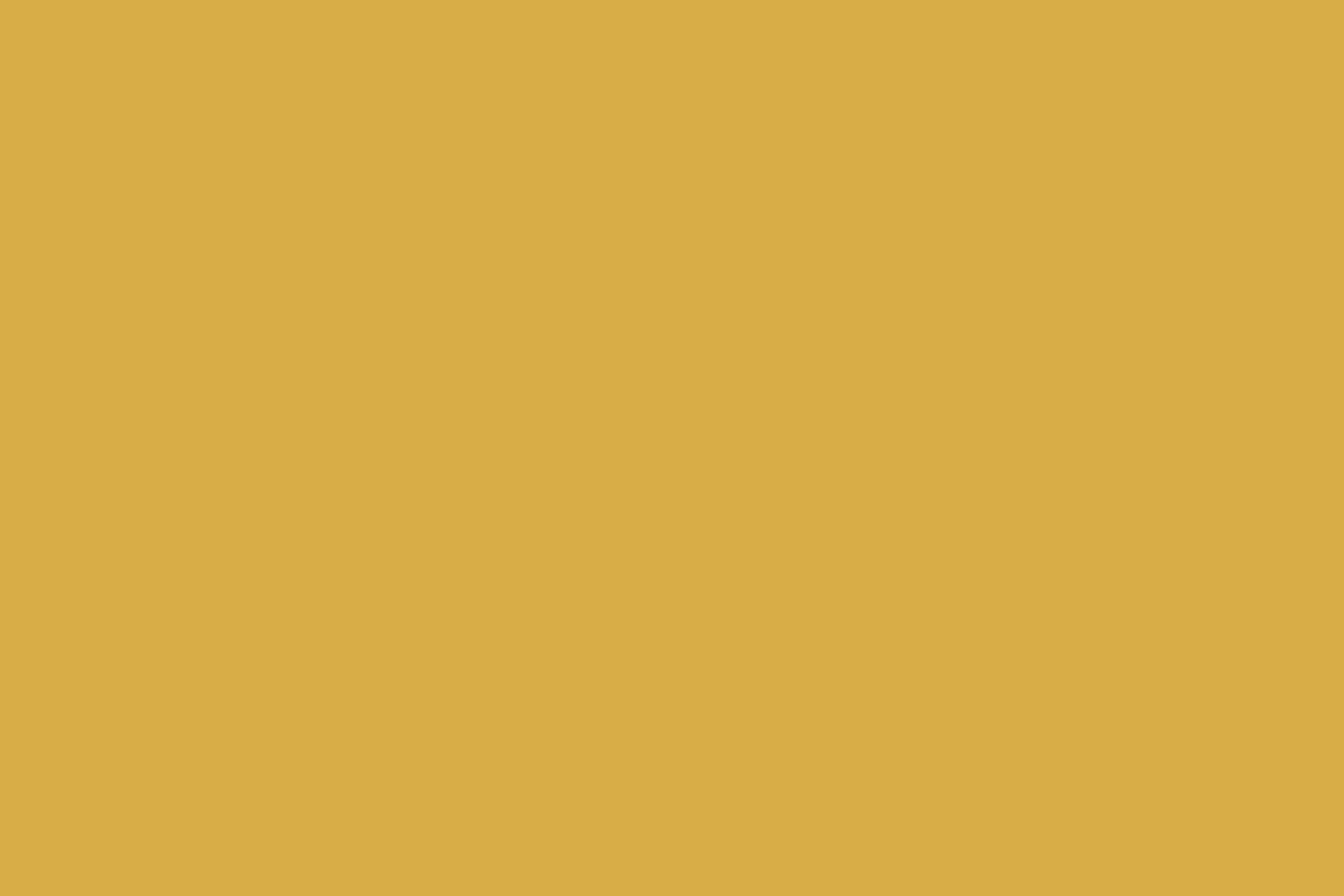 Solid Color Photo Backdrops Lemon Gold Sheen Backdrop CSH57-332