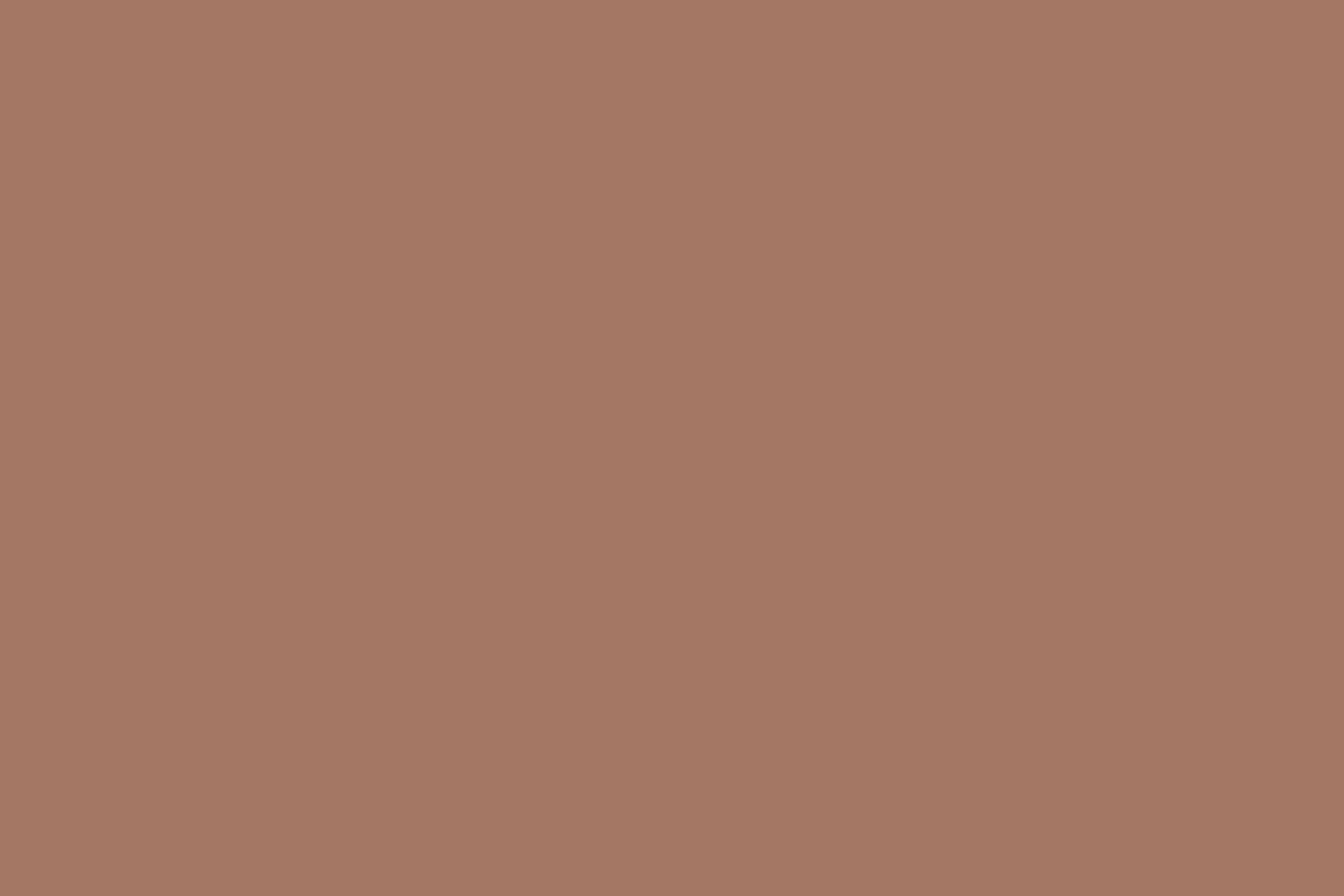 Backdrop Solid Color Rustic Coral Mist Backdrop CSH57-334