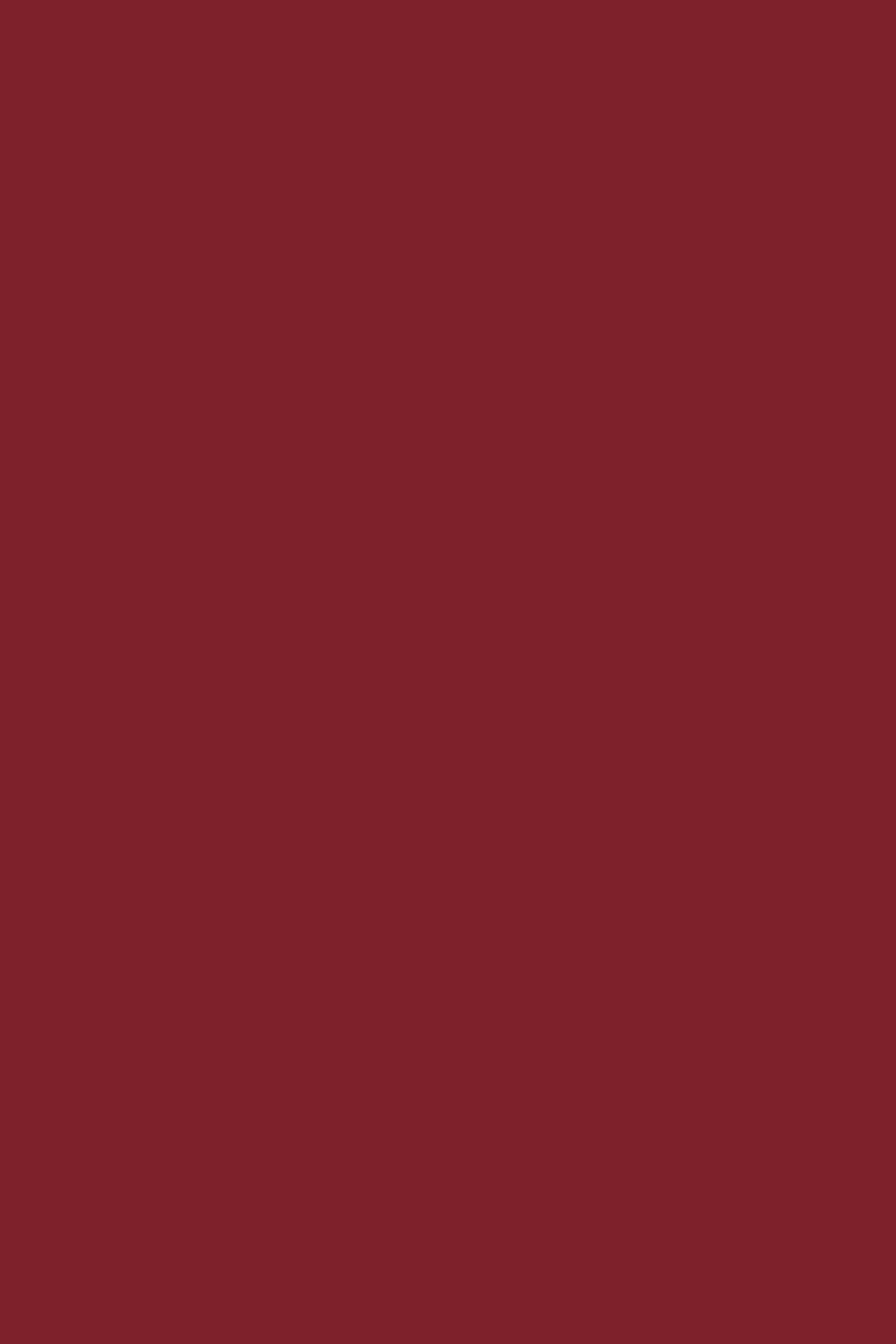 Red Photo Backdrop Wine Velvet Veil Backdrop CSH57-336