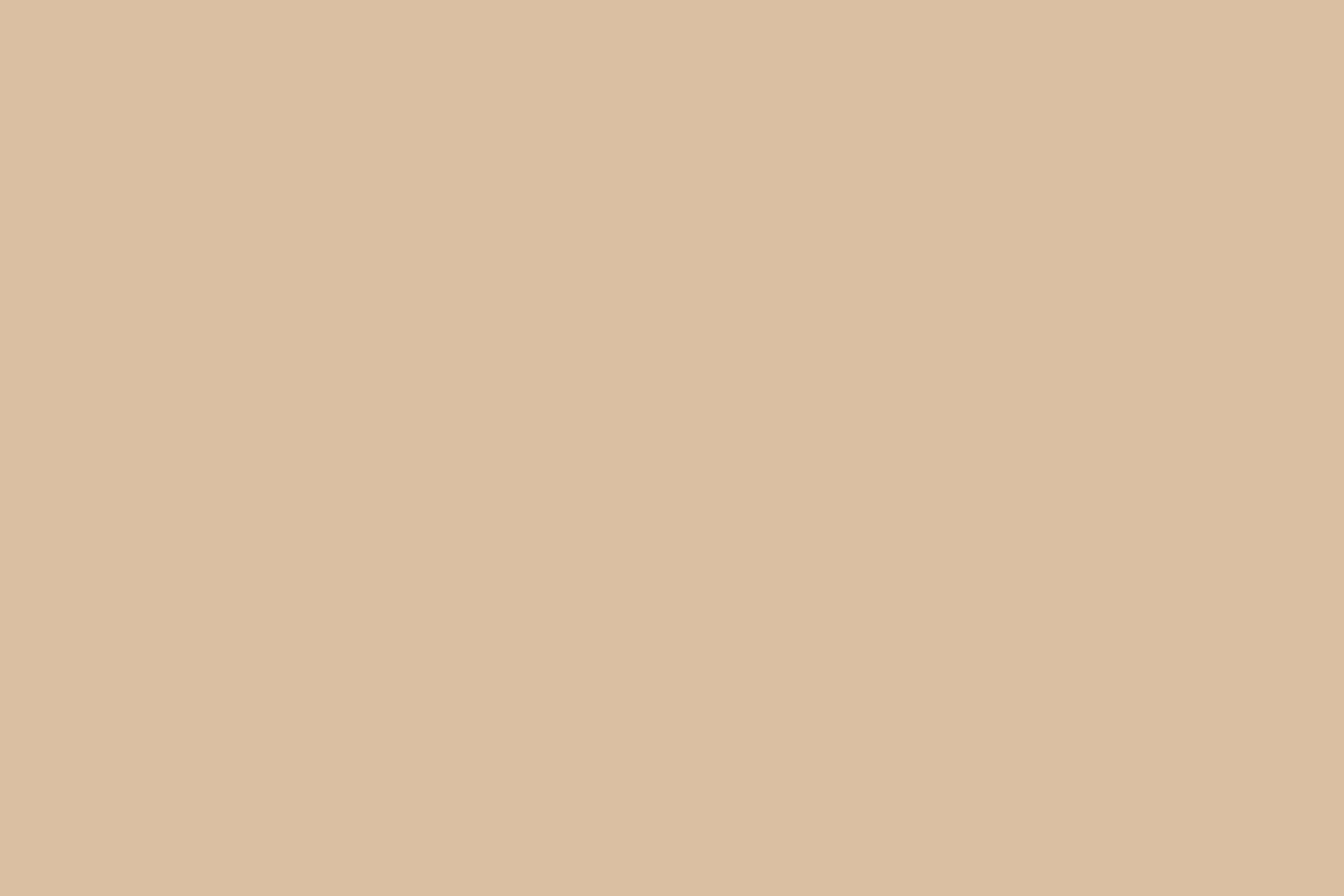 Solid Color Backdrops Ivory Oat Haze Backdrop CSH57-337