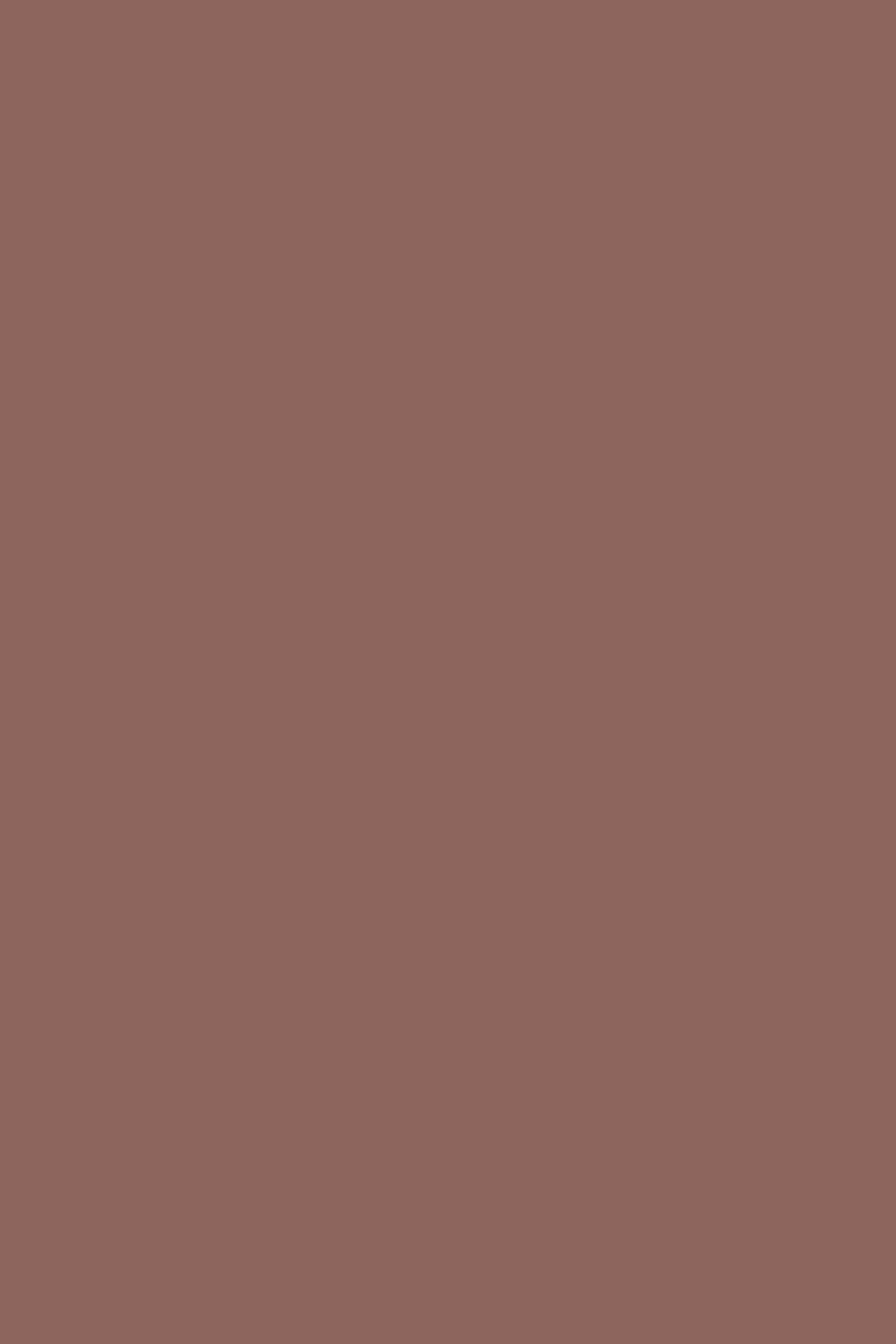 Solid Color Backdrop Dark Mocha Rose Backdrop CSH57-339