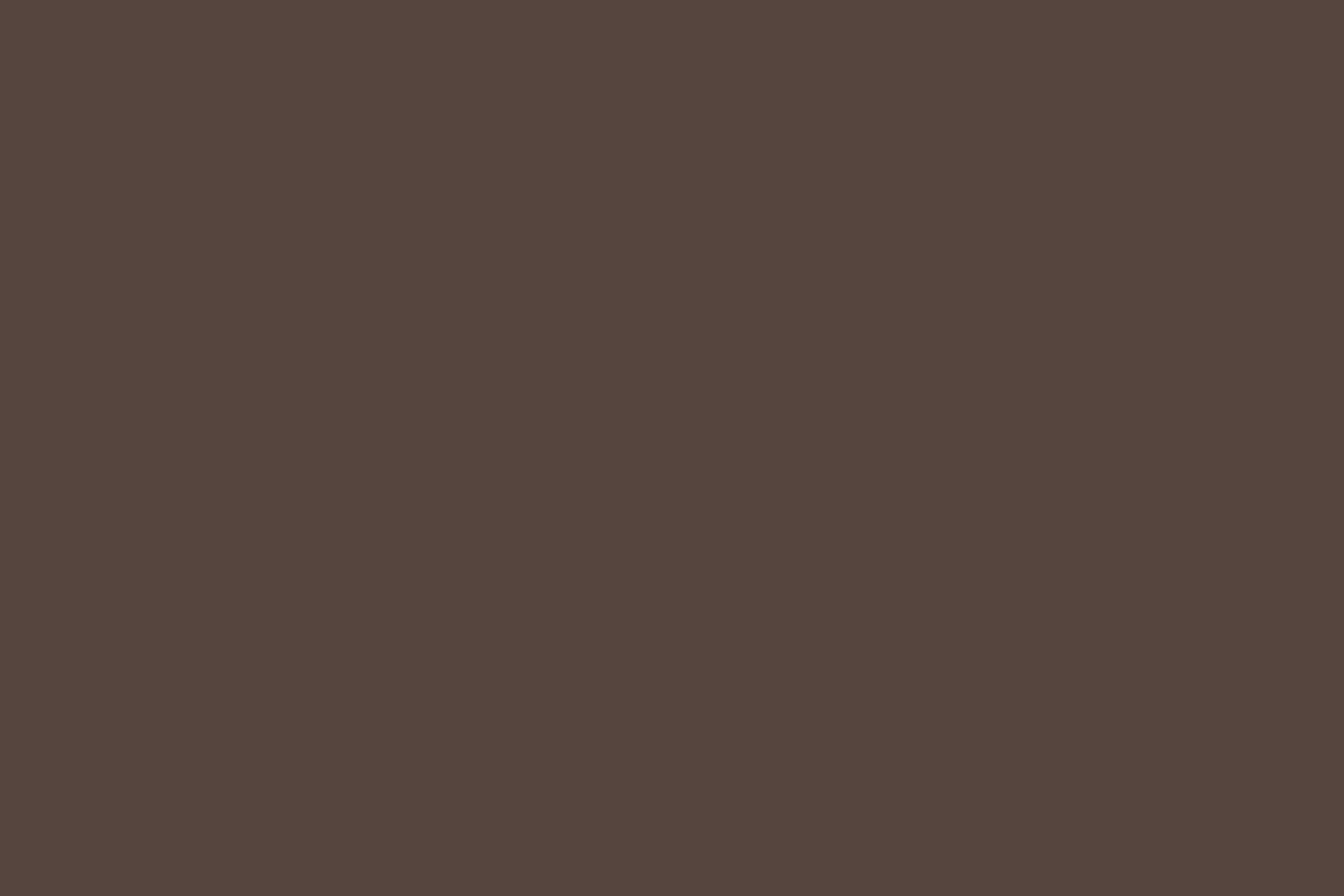Backdrop Solid Color Rich Cocoa Wine Backdrop CSH57-340