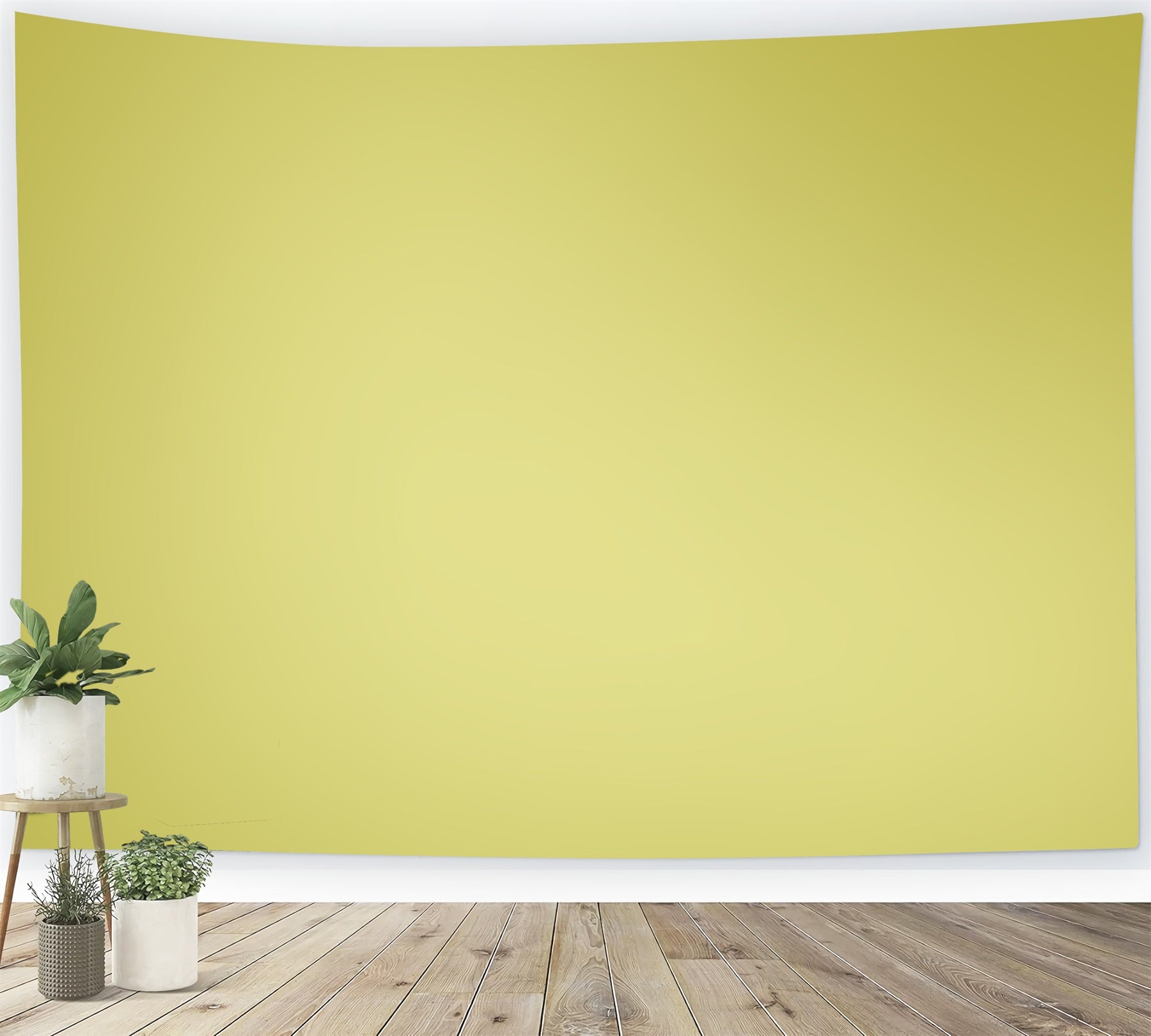Green Photo Backdrop Lemon Haze Studio Backdrop CSH57-37