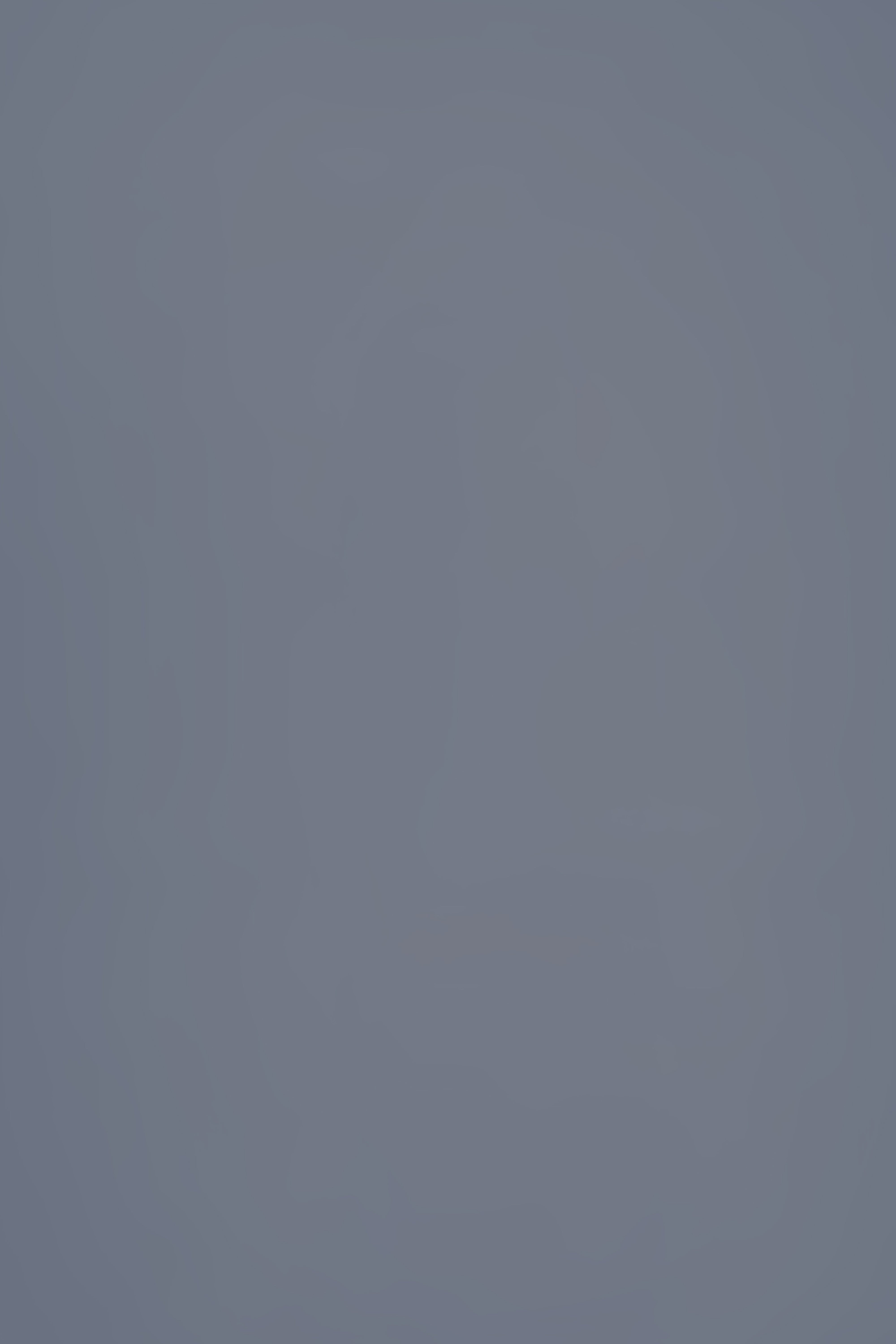Grey Backdrop Photography Misty Gray Calm Backdrop CSH57-43