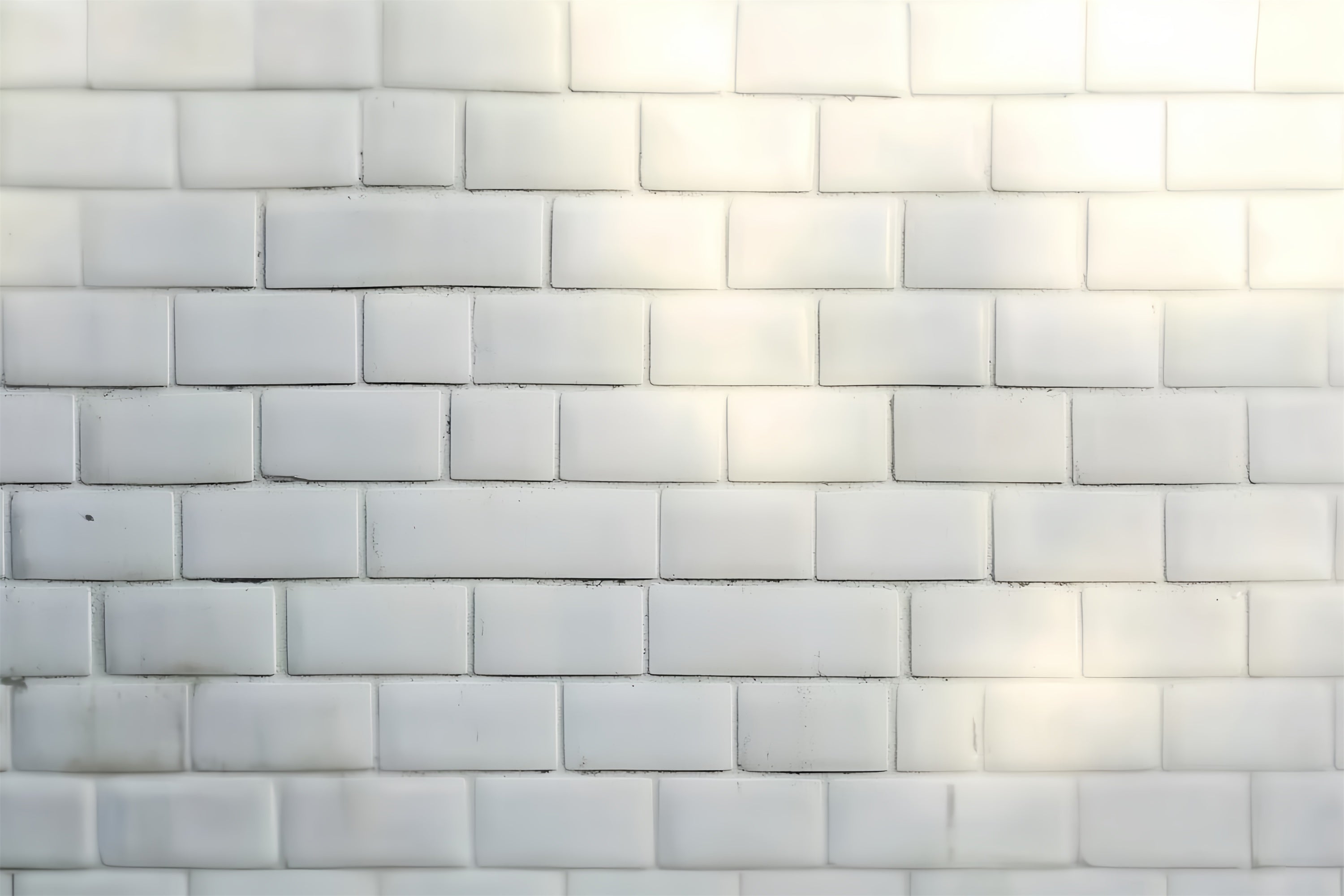 White Brick Backdrop Minimalist Matte Brick Headshot Backdrop CSH57-6