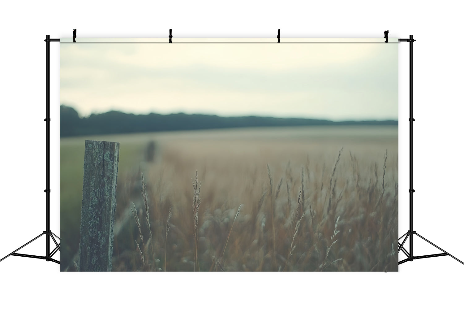 Backdrop For Headshot Rustic Meadow Silence Backdrop CSH57-7