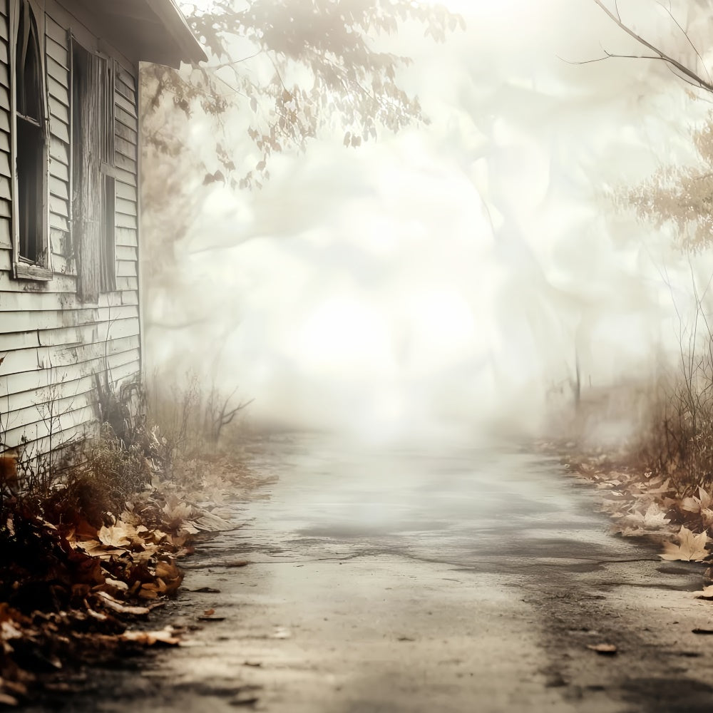 Halloween Backdrop Ideas Abandoned Cottage Trail Backdrop CSH57-77