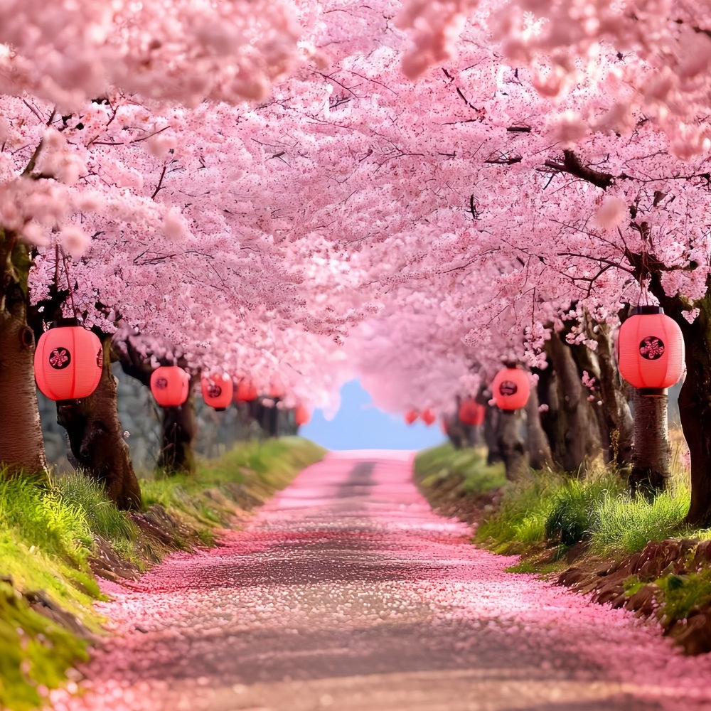 Cherry Blossom Backdrop Sakura Pathway Lantern Rows Spring Flower Backdrop CSH58-106