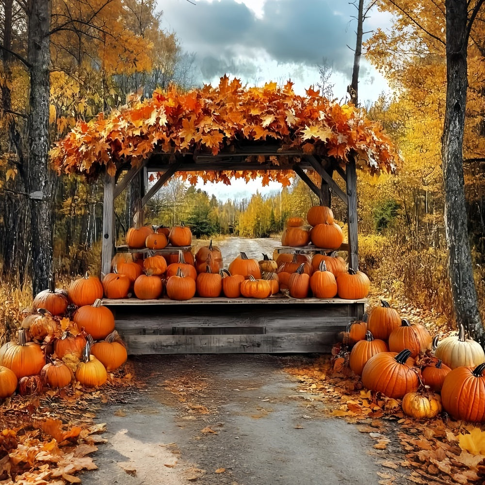 Thanksgiving Photo Backdrop Pumpkin Harvest Forest Stand Thanksgiving Backdrop CSH58-134