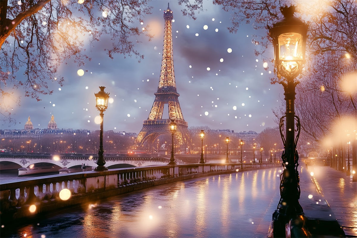 Eiffel Tower Backdrop Champs Elysées Bridge After Dreamy Rain Night Paris Backdrop Ideas CSH58-15