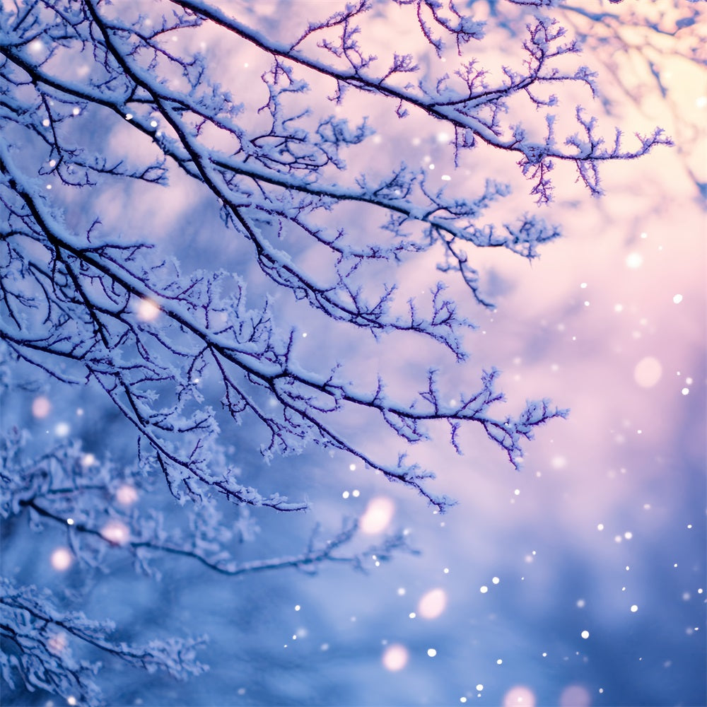Snowflake Backdrop Frosted Branches in Twilight Glow Winter Photo Backdrop CSH58-21