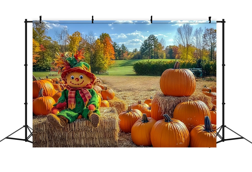 Fall Rustic Backdrop Scarecrow Pumpkin Patch Field Autumn Backdrop CSH58-225