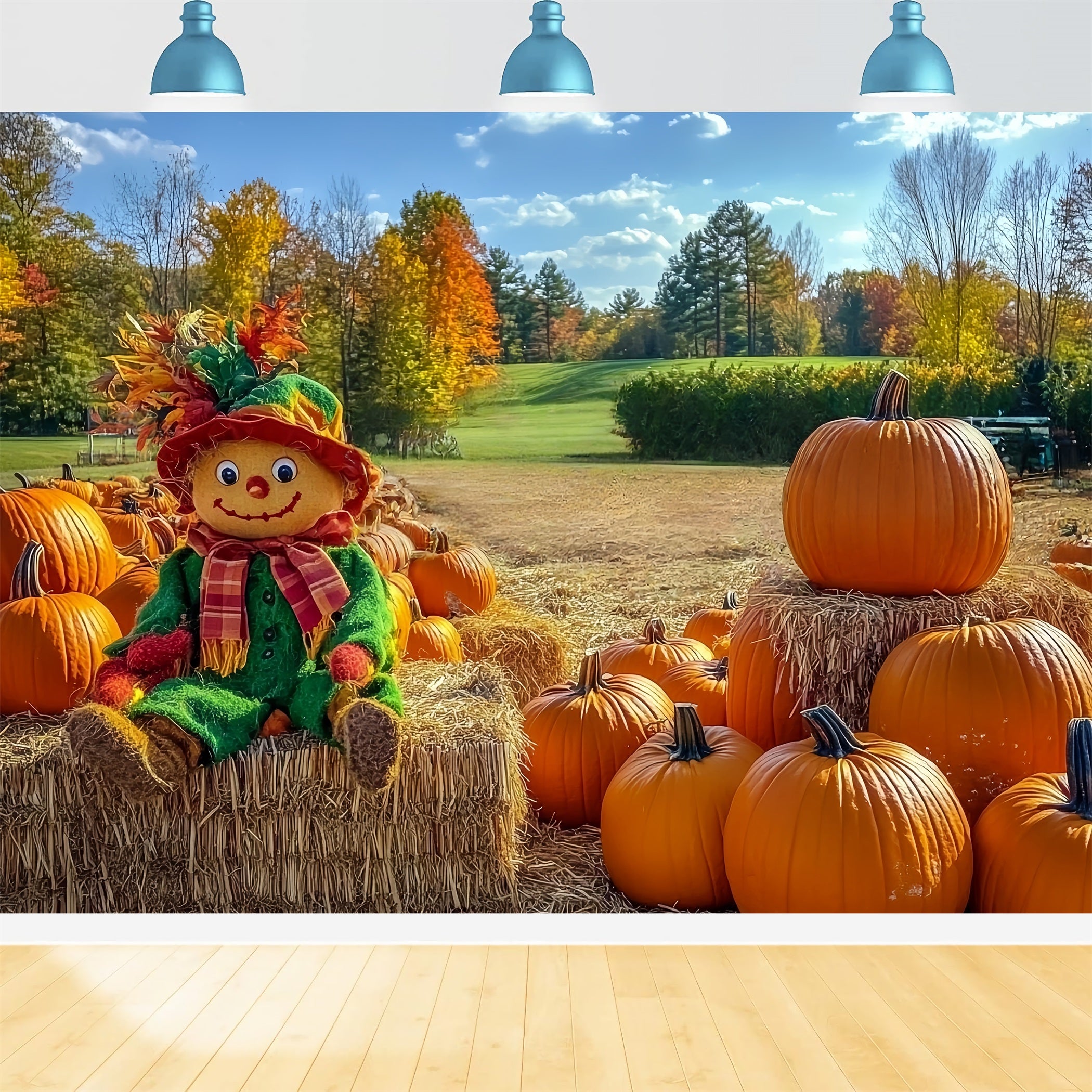 Fall Rustic Backdrop Scarecrow Pumpkin Patch Field Autumn Backdrop CSH58-225