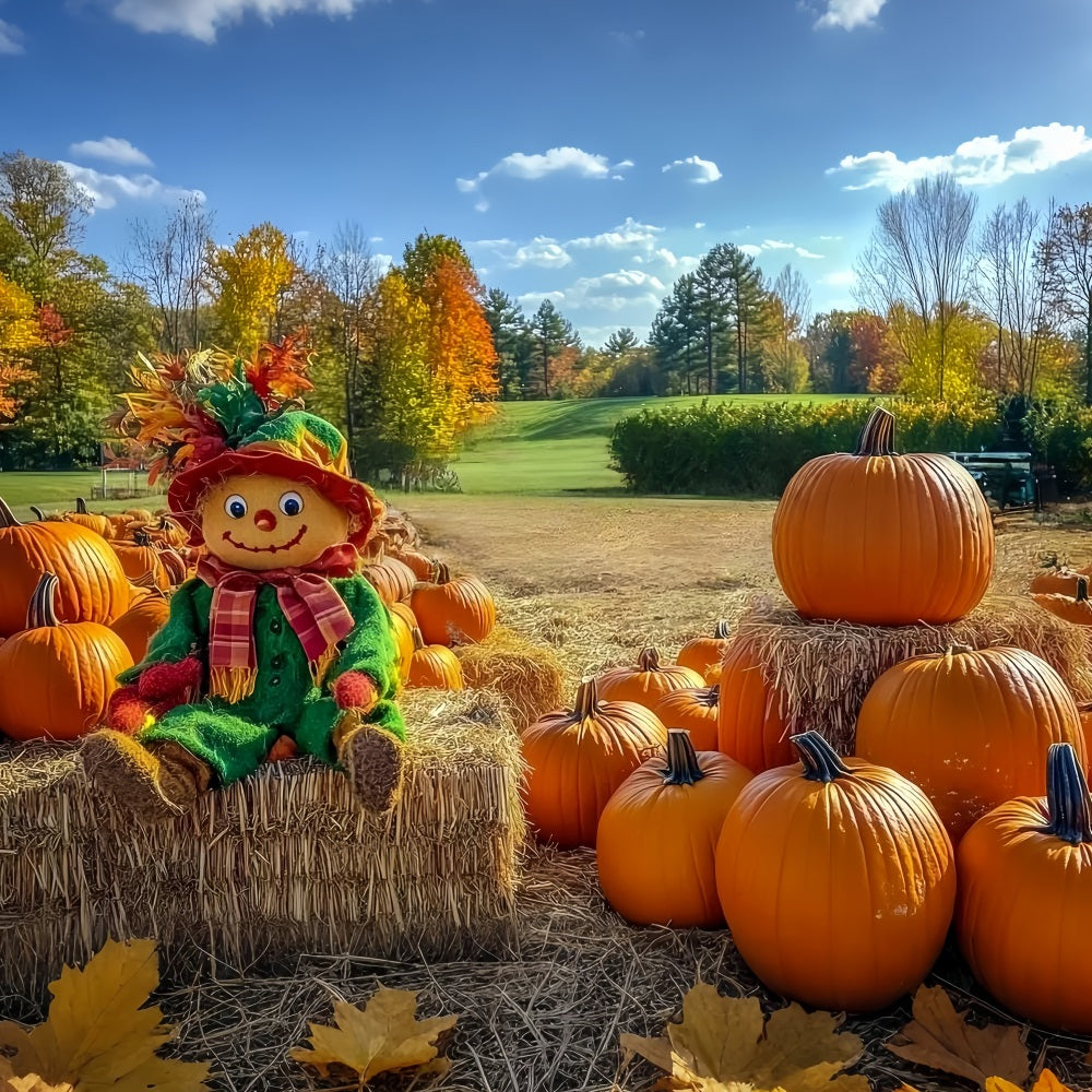 Fall Rustic Backdrop Scarecrow Pumpkin Patch Field Autumn Backdrop CSH58-225