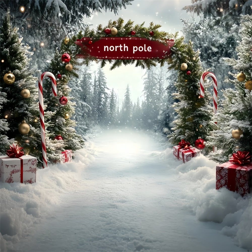 North Pole Backdrop North Pole Candy Cane Gift Pathway Winter Christmas Backdrop CSH58-36