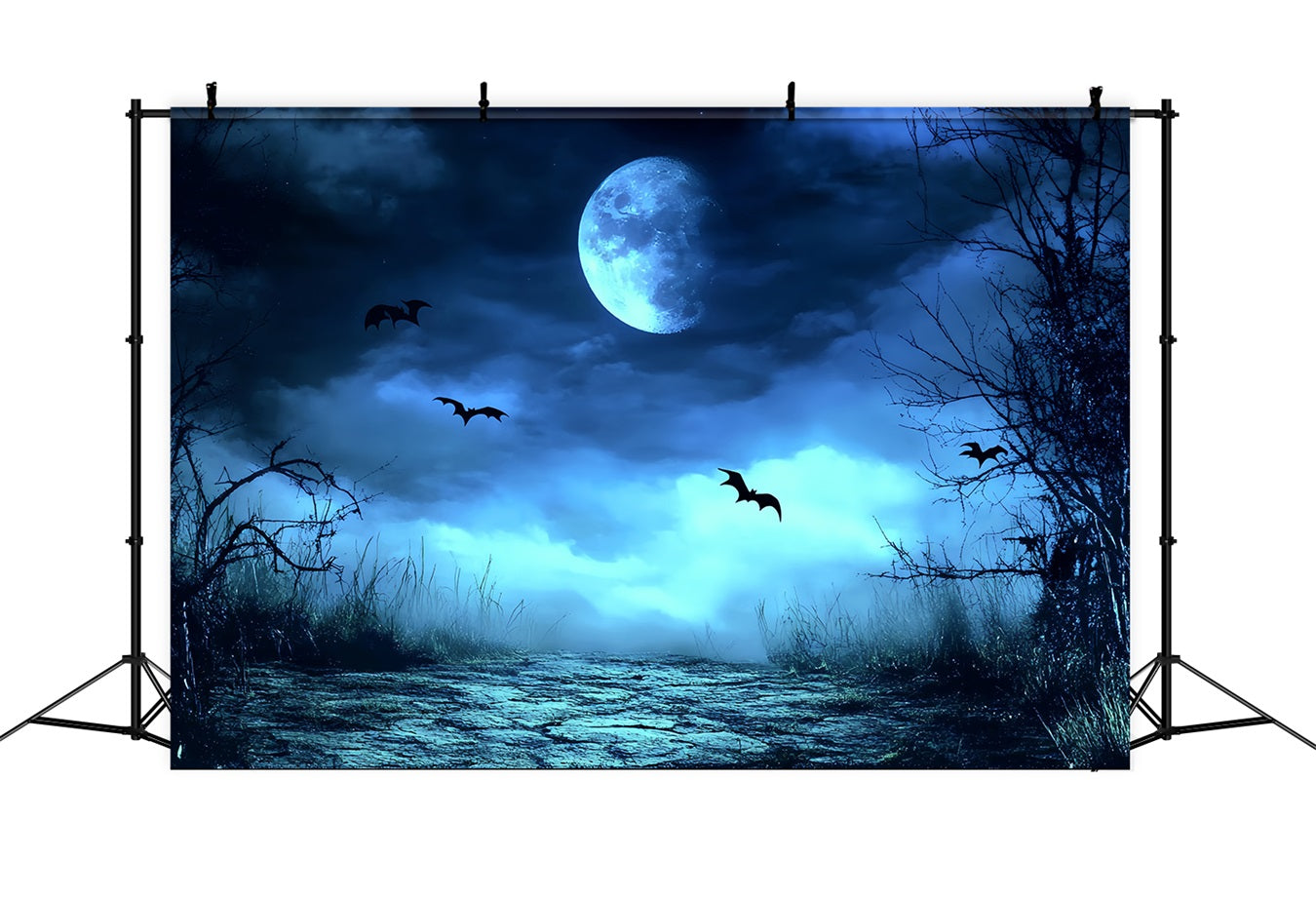 Night Sky Backdrop Blue Mist Spooky Path Halloween Photo Backdrop CSH58-83