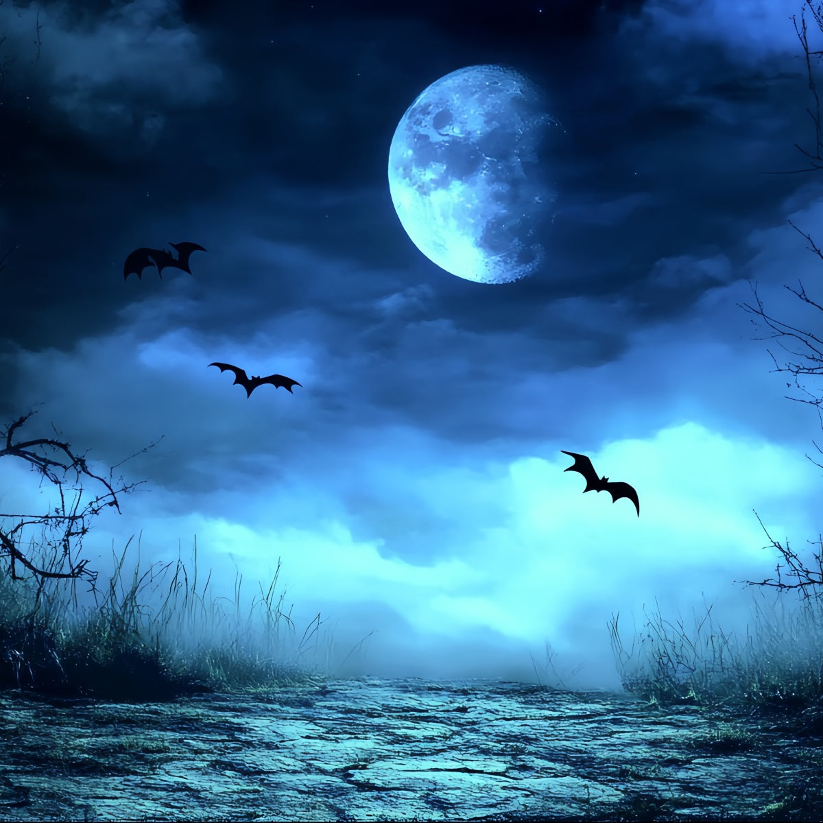 Night Sky Backdrop Blue Mist Spooky Path Halloween Photo Backdrop CSH58-83