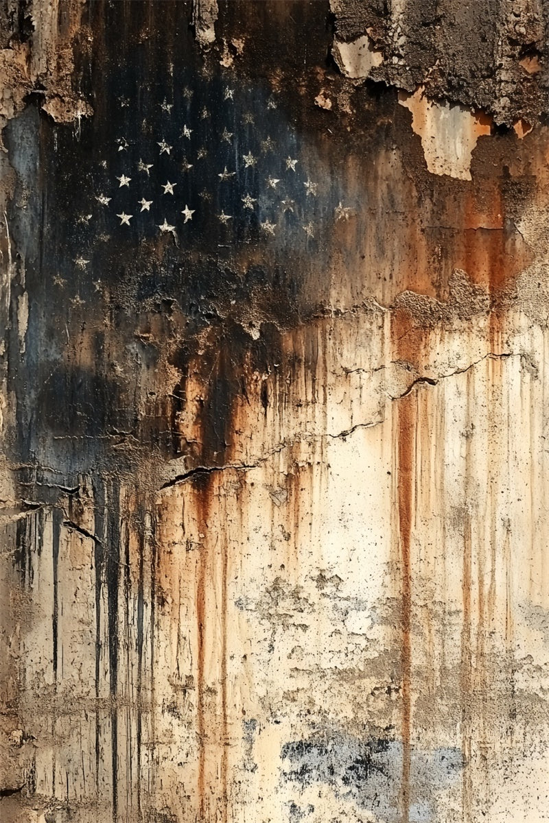 4th of July Photo Backdrop Rustic Faded Flag Wall Backdrop CSH6-1