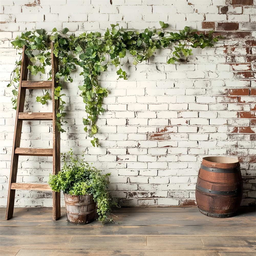 Brick Photo Backdrop Ivy Barrel Rustic Wall Backdrop CSH6-133