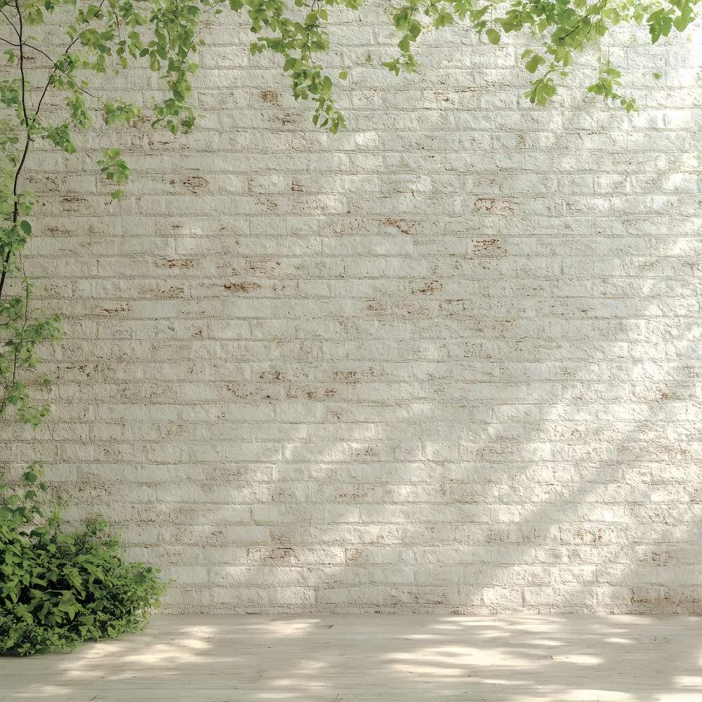 White Brick Backdrop Morning Light White Wall Backdrop CSH6-140