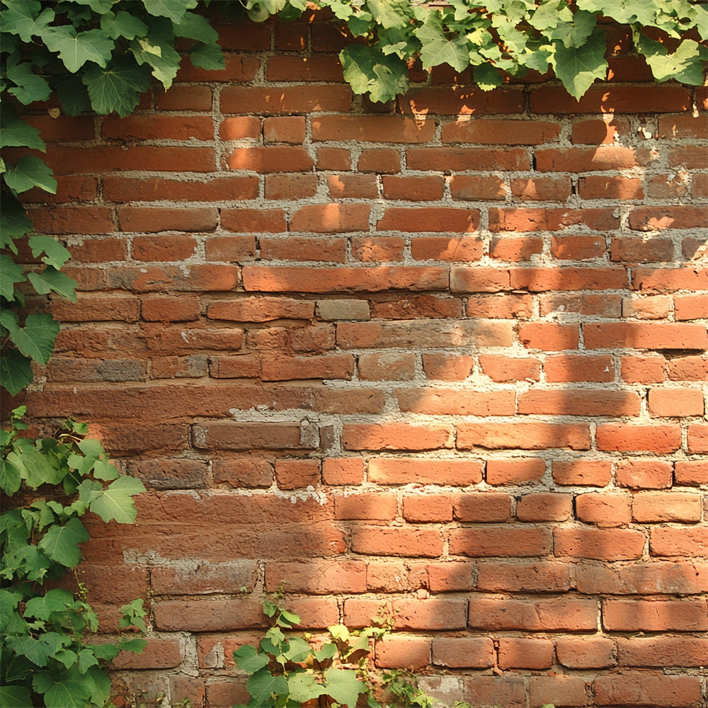 Red Brick Backdrop Rustic Ivy Wall Texture Backdrop CSH6-141