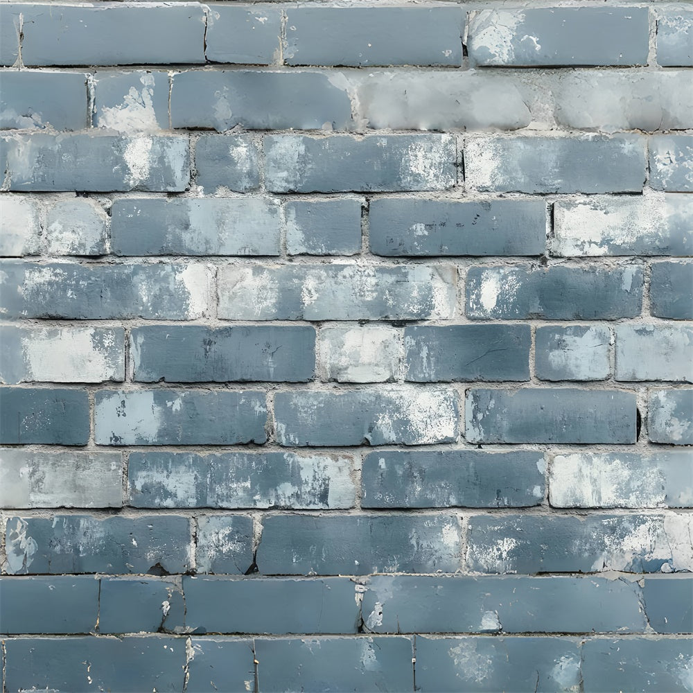 Brick Wall Backdrop Urban Brick Texture Vintage Backdrop CSH6-153