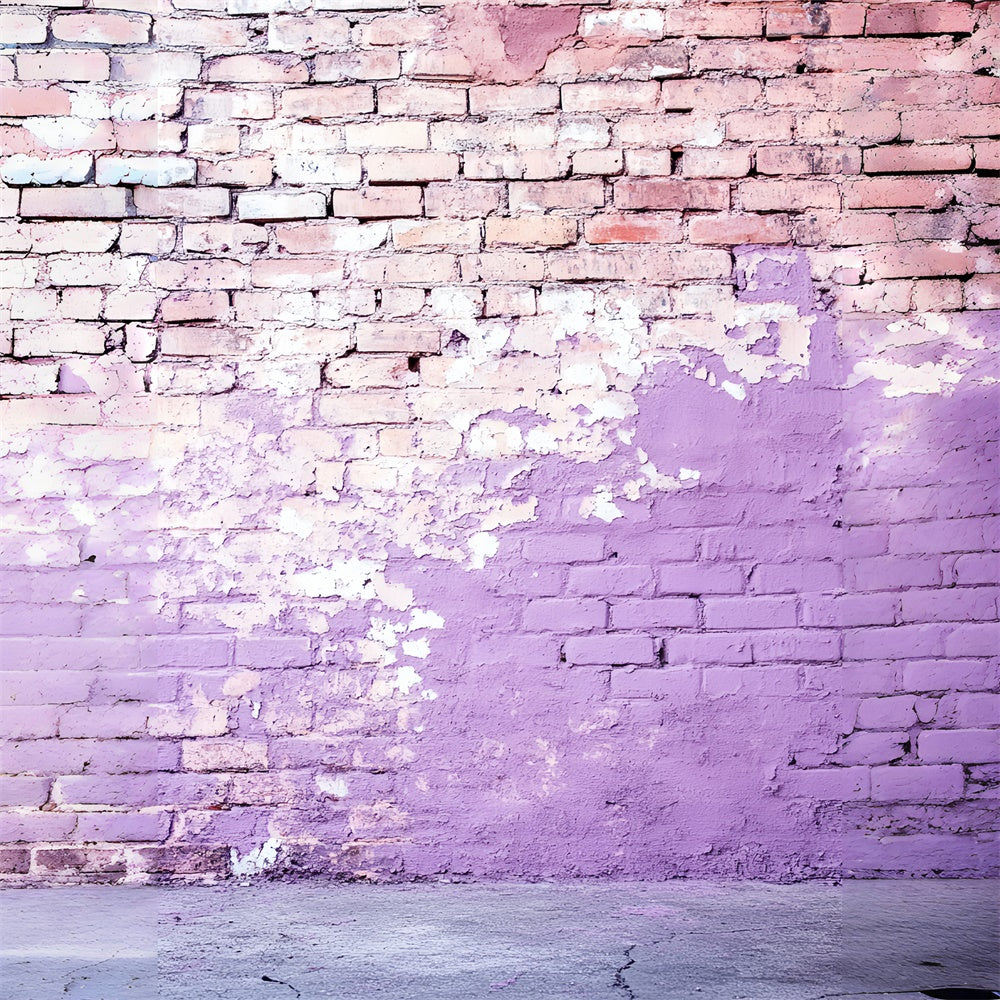 Brick Wall Photo Backdrop Lilac Decay Street Wall Backdrop CSH6-156
