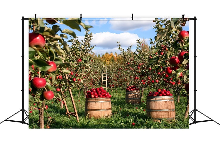 Fall Photo Backdrop Apple Harvest Orchard Backdrop CSH6-194
