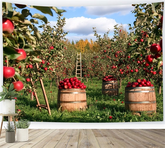 Fall Photo Backdrop Apple Harvest Orchard Backdrop CSH6-194