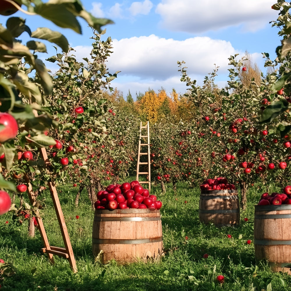 Fall Photo Backdrop Apple Harvest Orchard Backdrop CSH6-194