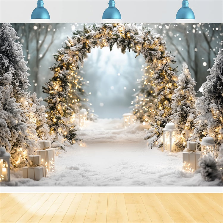 Christmas Backdrop For Photos Winter Wonderland Arch Backdrop CSH6-244