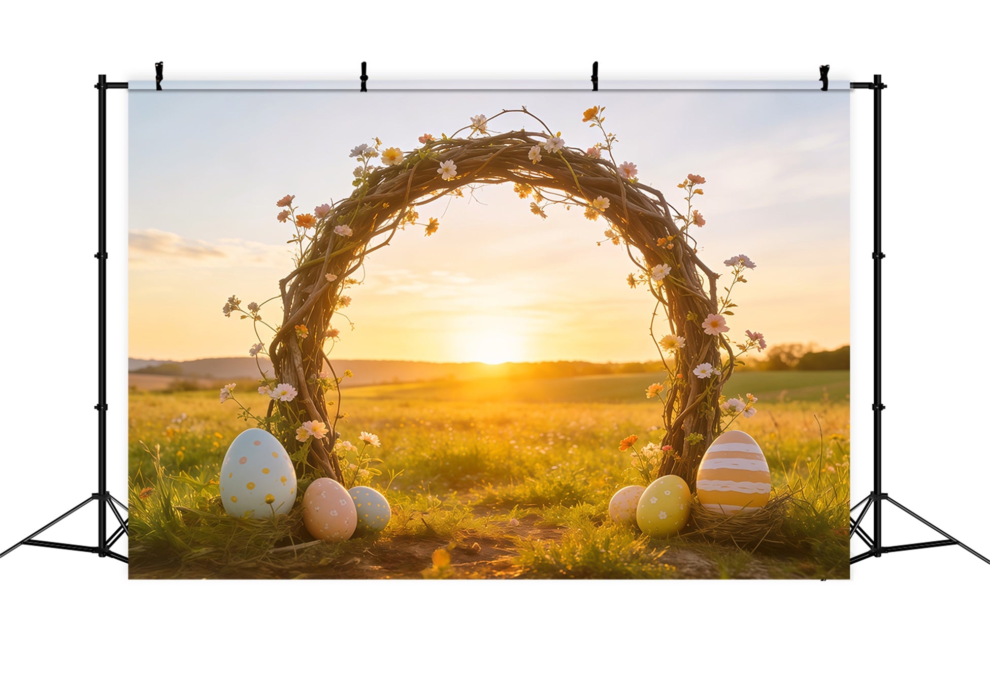 Easter Sunrise Field Backdrop Wildflower Twig Arch Eggs Simple Easter Backdrop CSH62-104