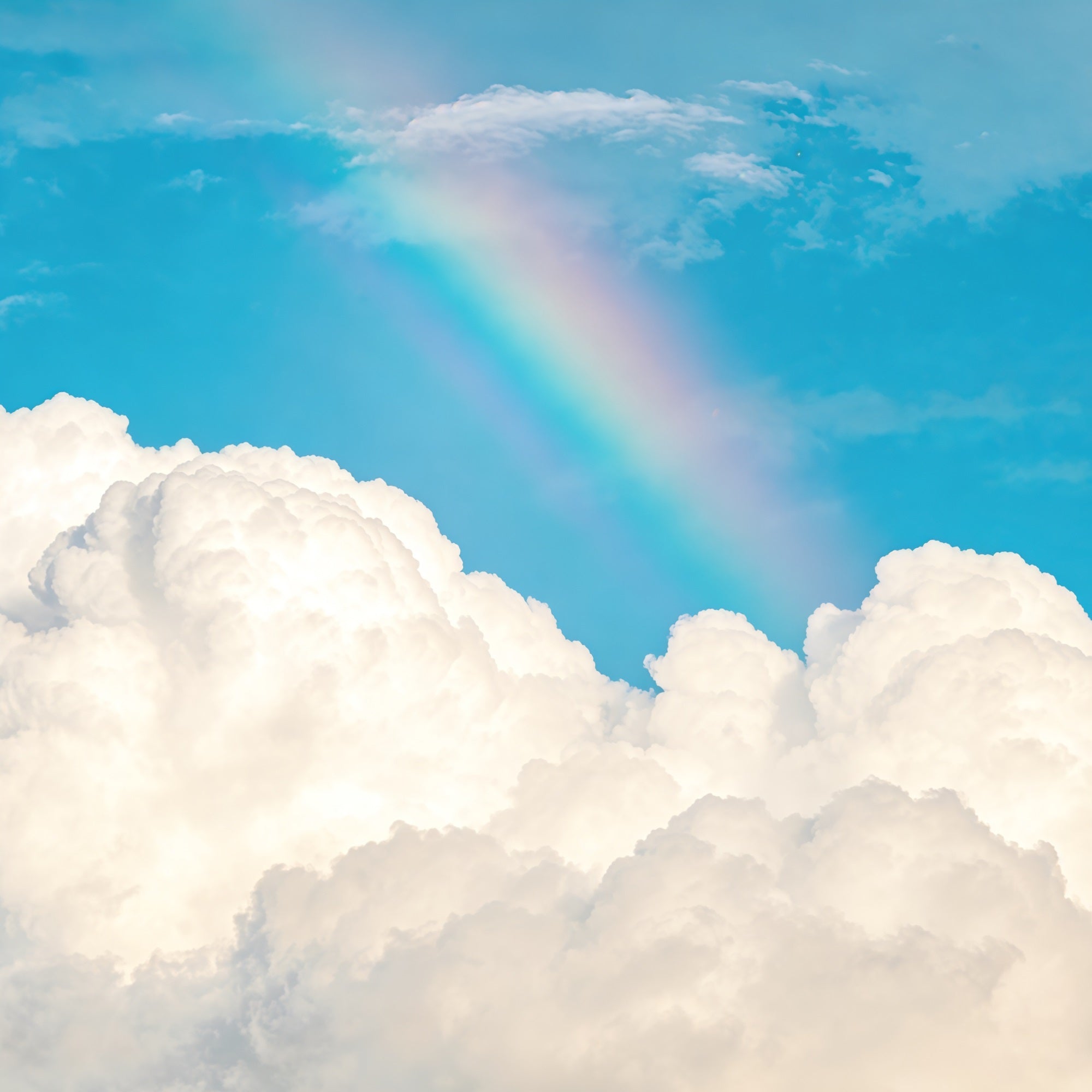 Blue Sky Photo Backdrop Rainbow Fluffy Clouds Sky Cloud Backdrop Photoshoot CSH62-130