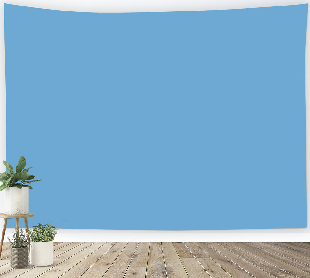 Blue Backdrop Photography Clear Sky Blue Tone Solid Color Photography Backdrop CSH62-17