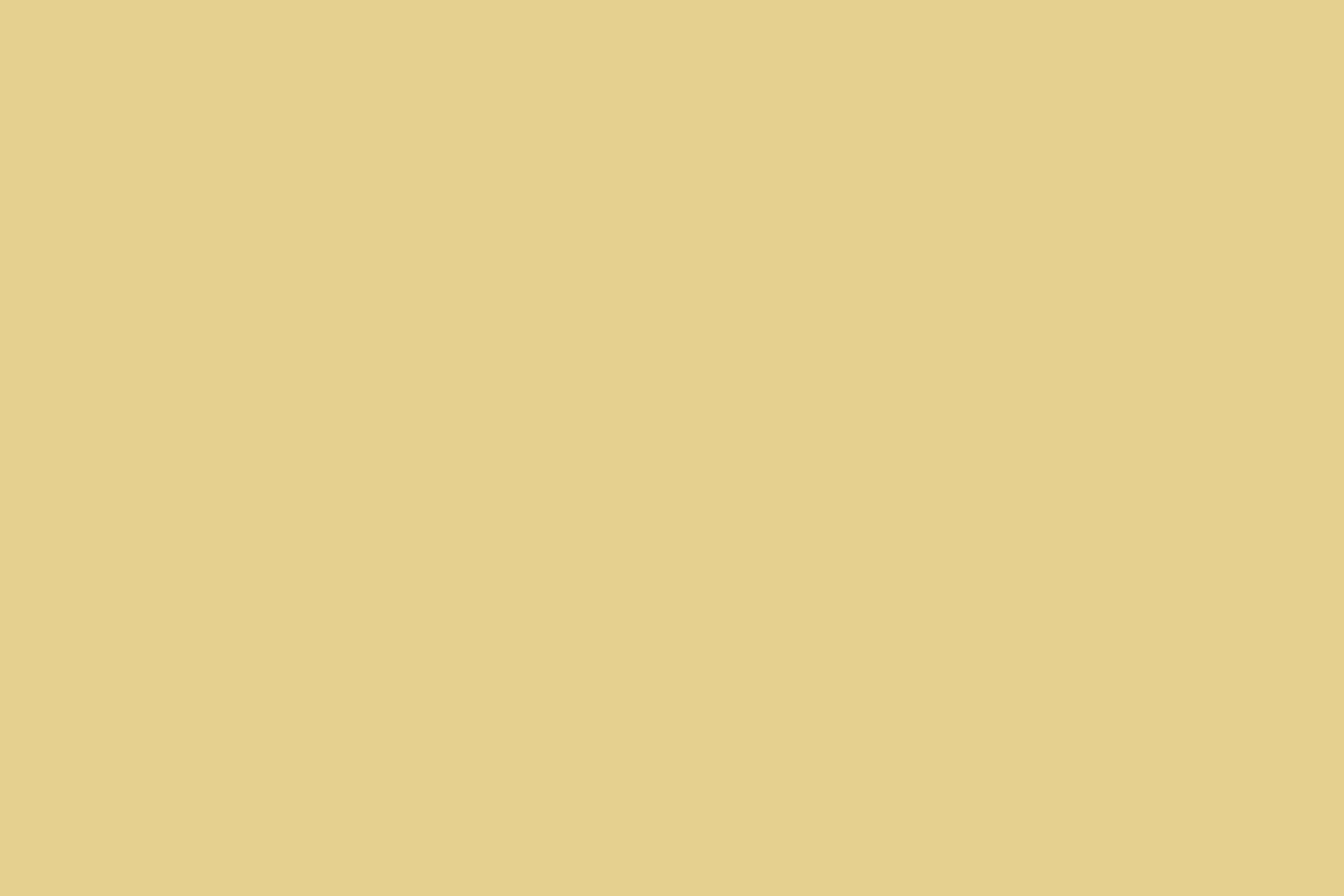 Yellow Photo Backdrop Soft Vanilla Yellow Warm Solid Color Backdrop CSH62-22