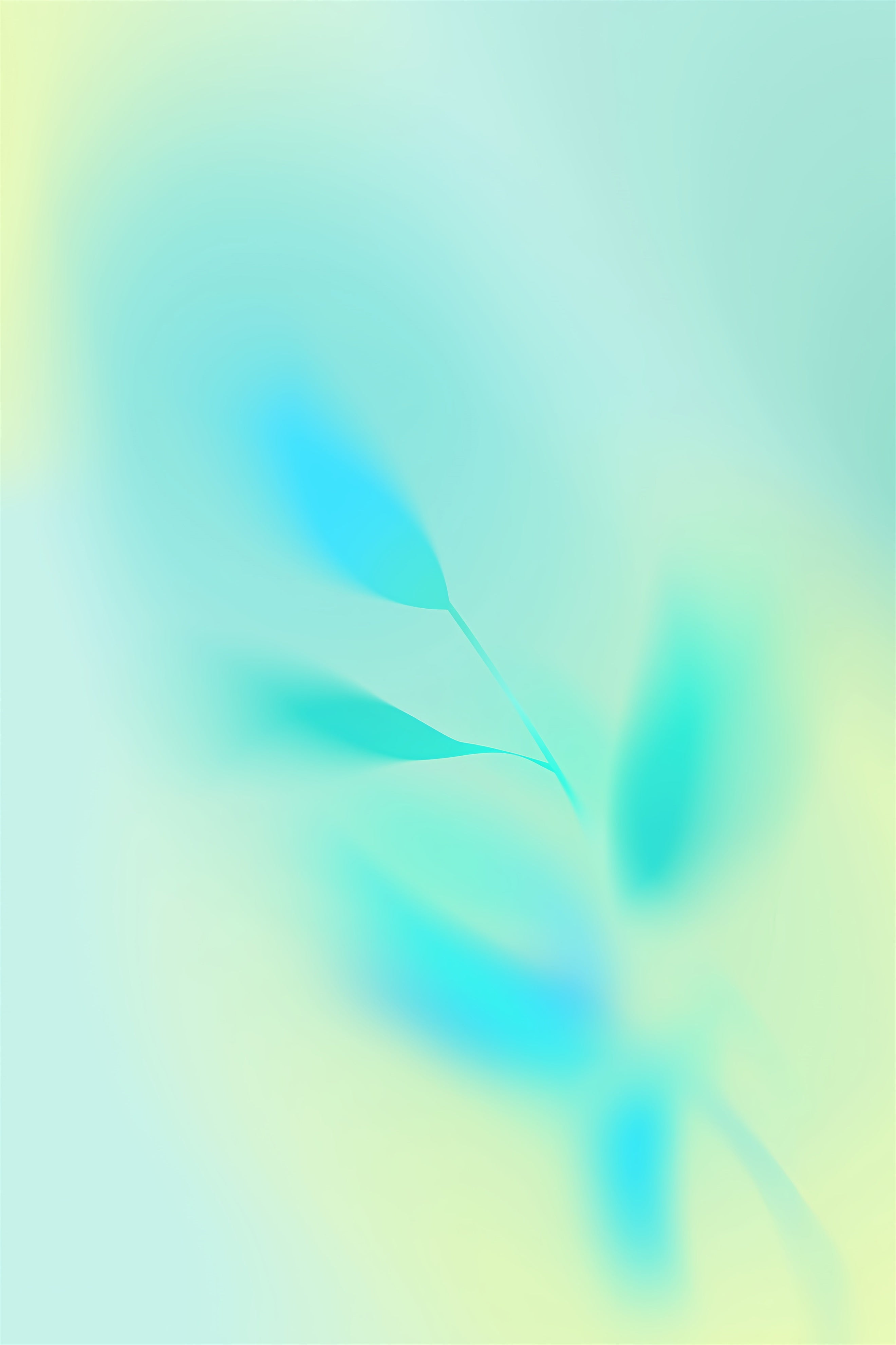 Gradient Backdrop Teal Green Blue Diffusion Professional Backdrop For Headshot CSH62-44