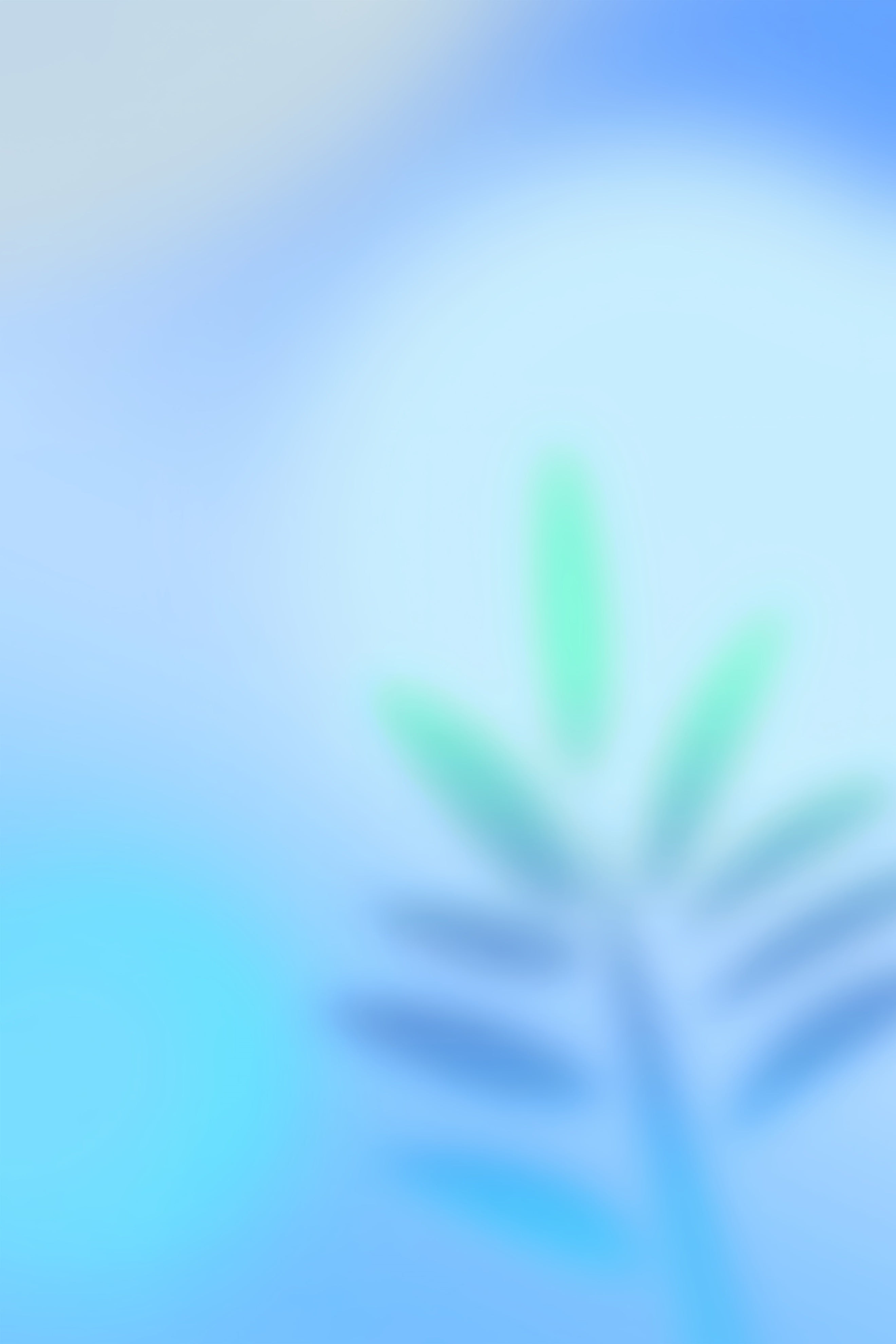 Photo Gradient Backdrop Soft Palm Green Blue Glow Backdrop For Professional Headshot CSH62-45