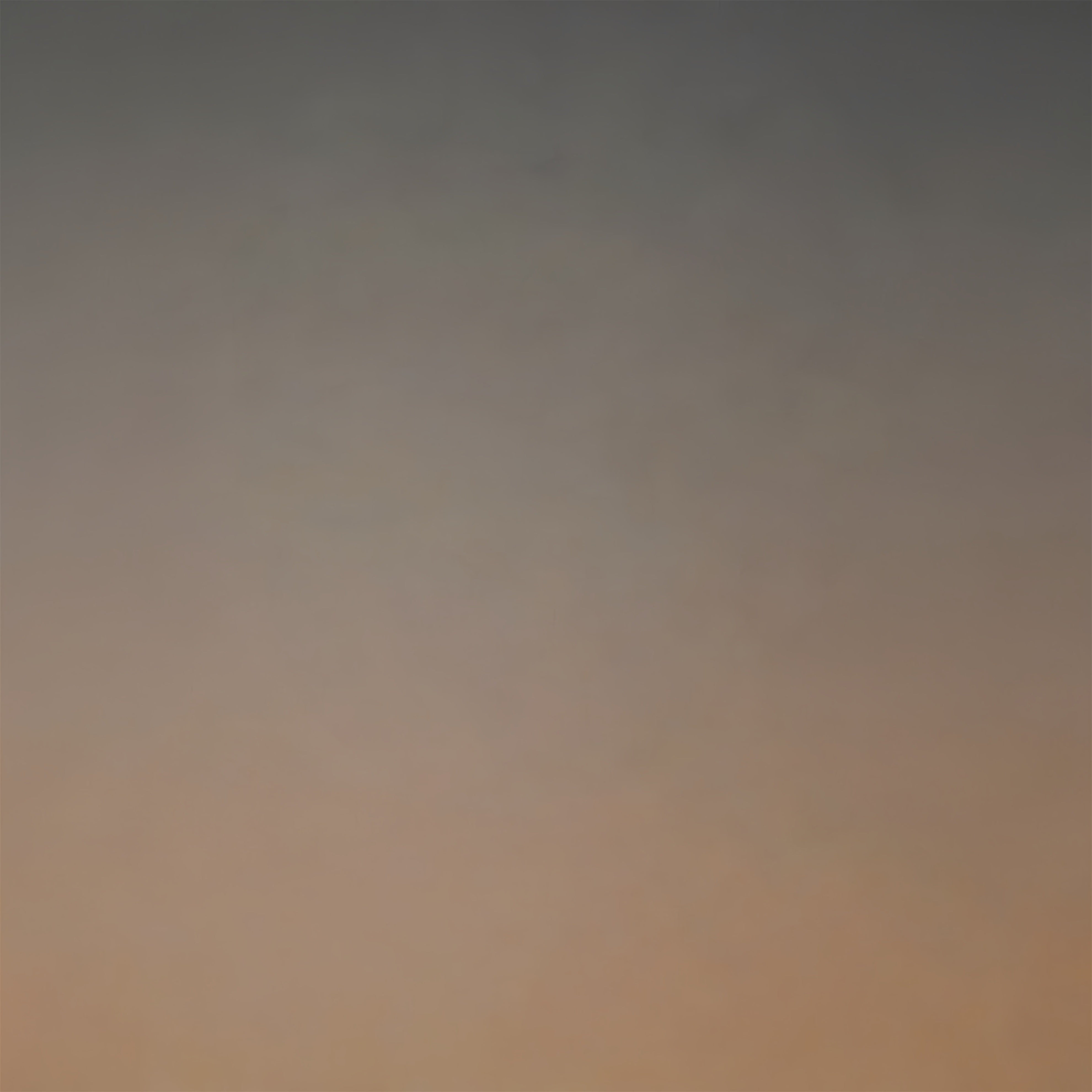 Portrait Gradient Backdrop Warm Neutral Dusk Gradient Best Backdrops For Headshots CSH62-59