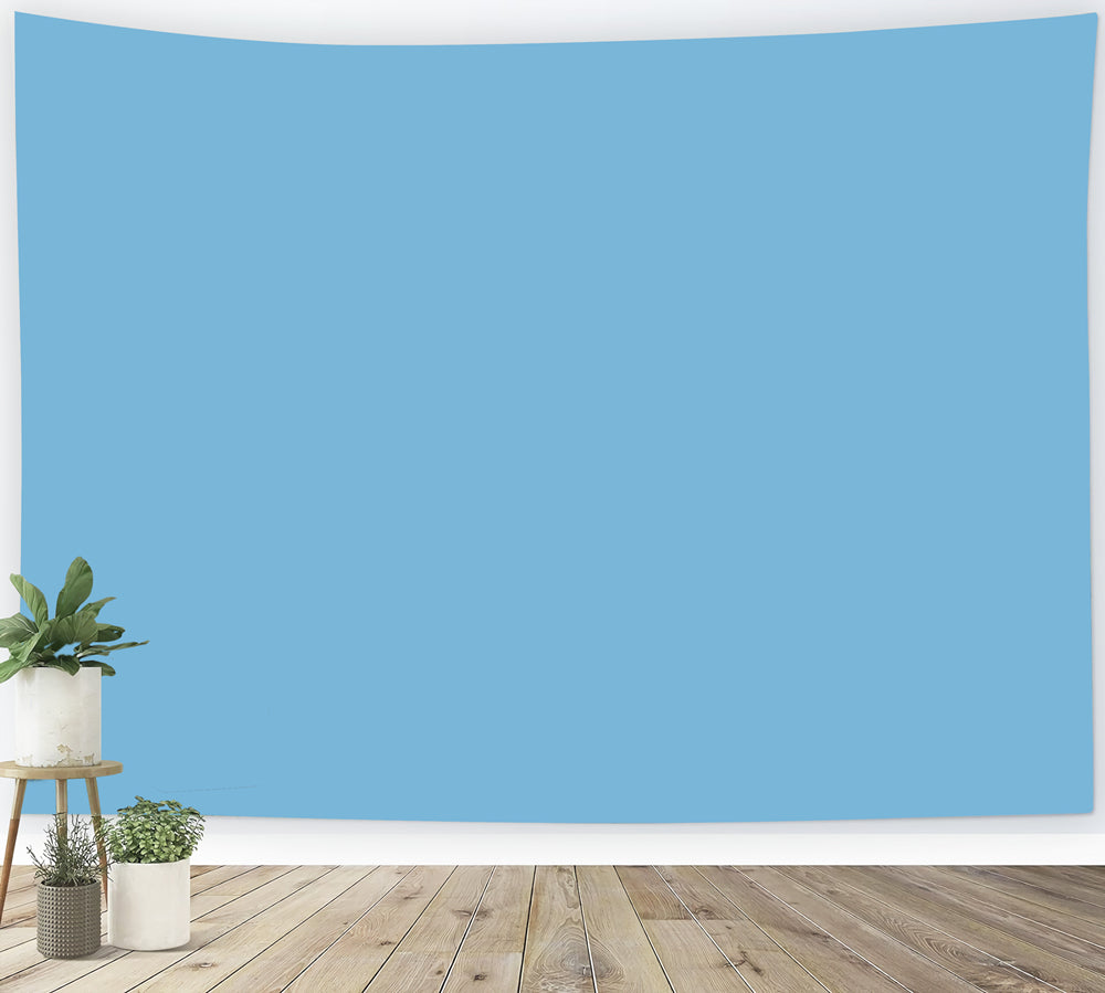 Blue Backdrop Fresh Sky Blue Clean Tone Solid Photography Backdrops CSH62-9